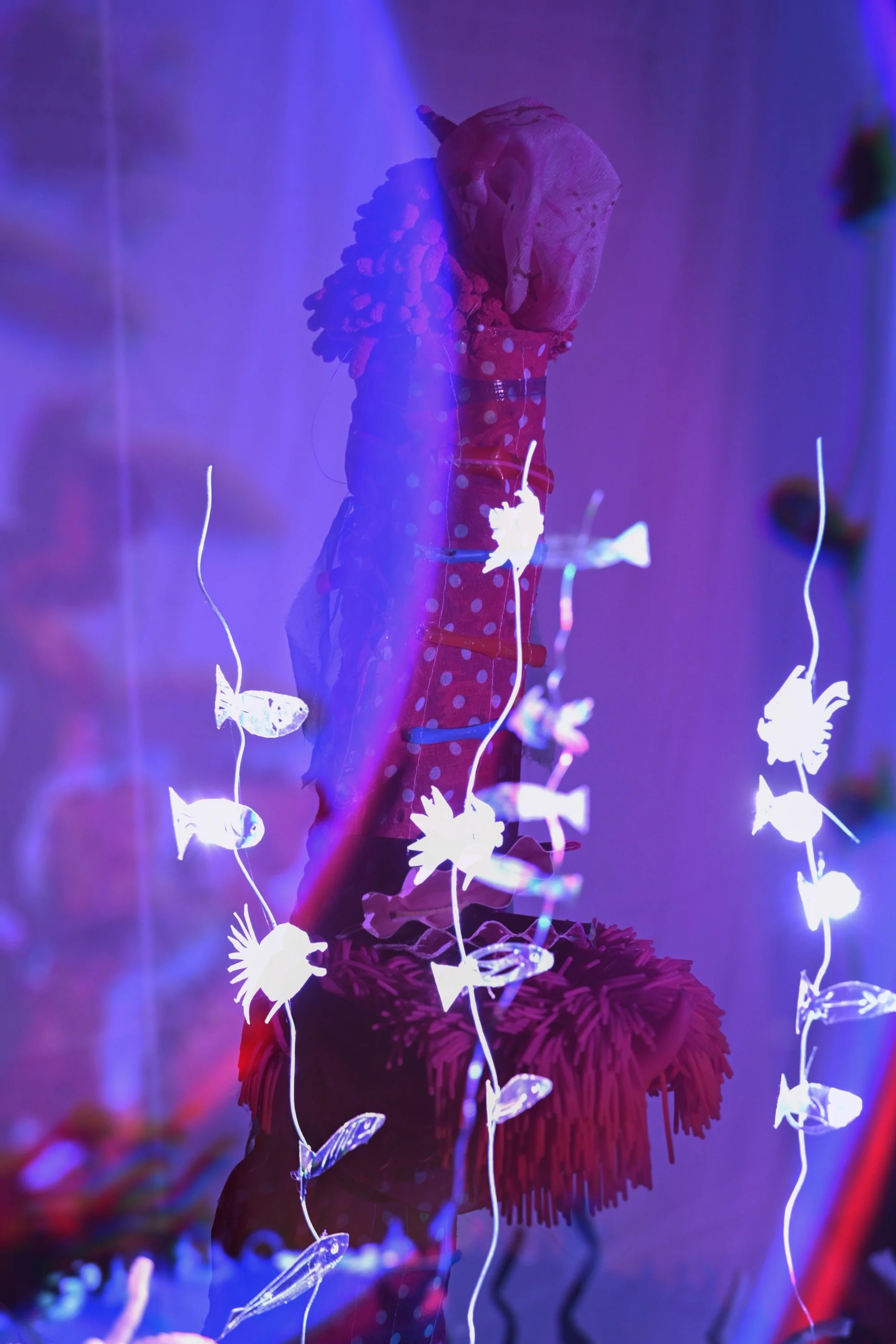 Bachorik_Mantis Shrimp-56 copy.jpg
