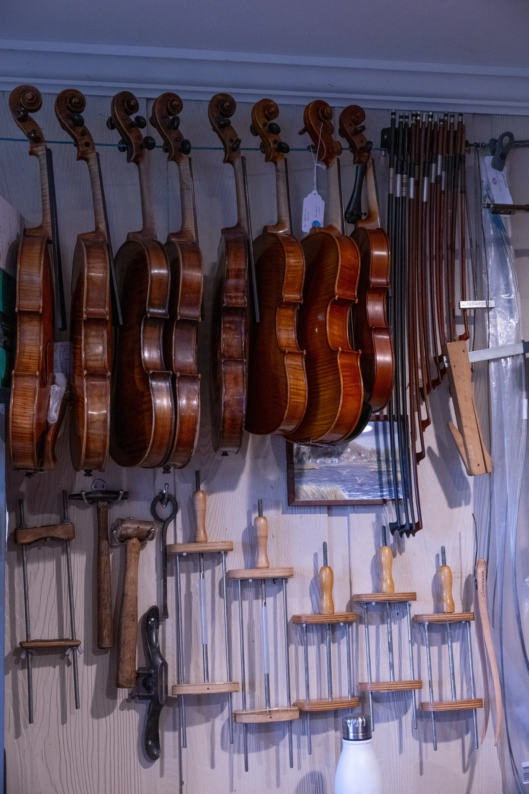 bachorik_Shaker Violin-6.jpg