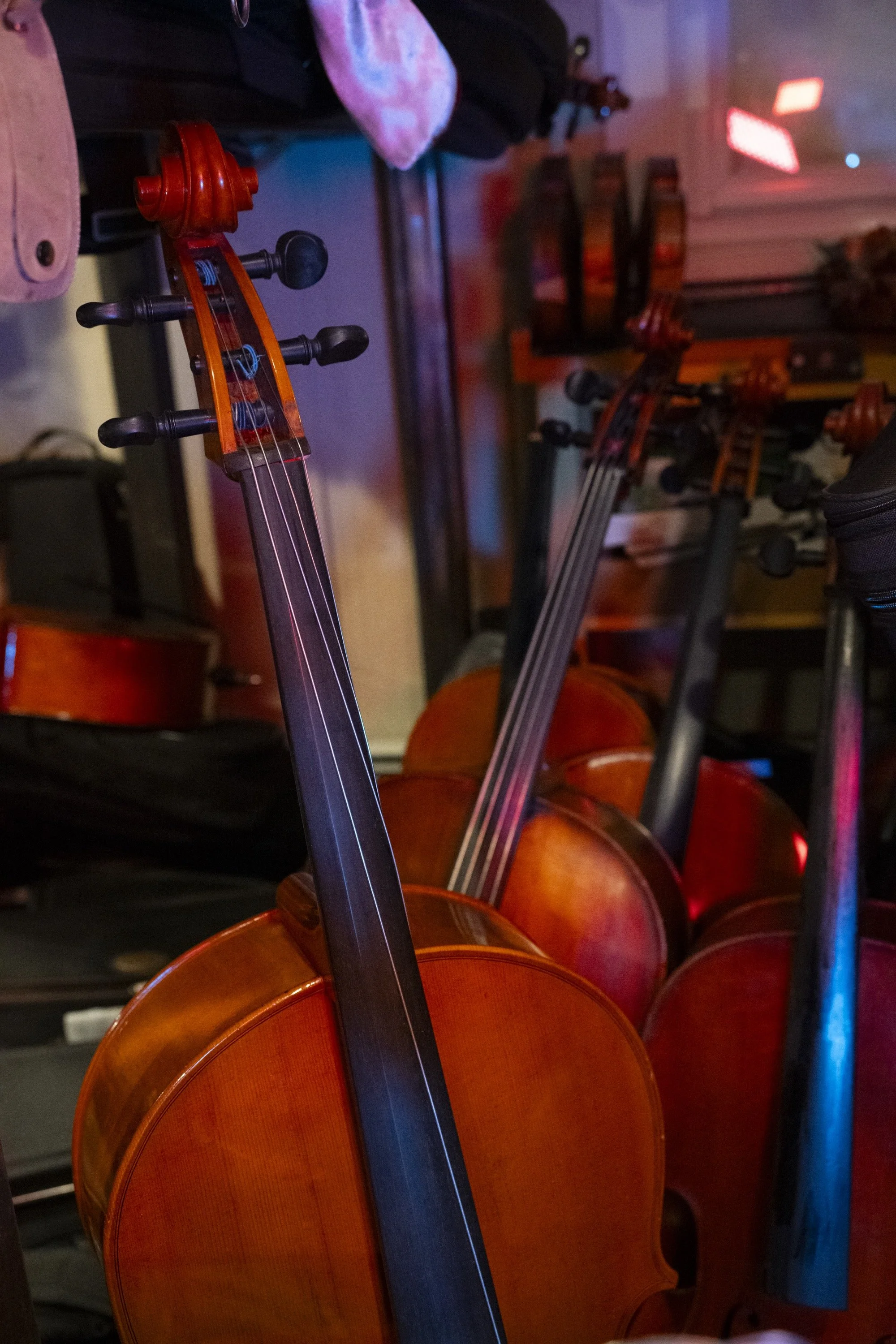 bachorik_Shaker Violin-29.jpg