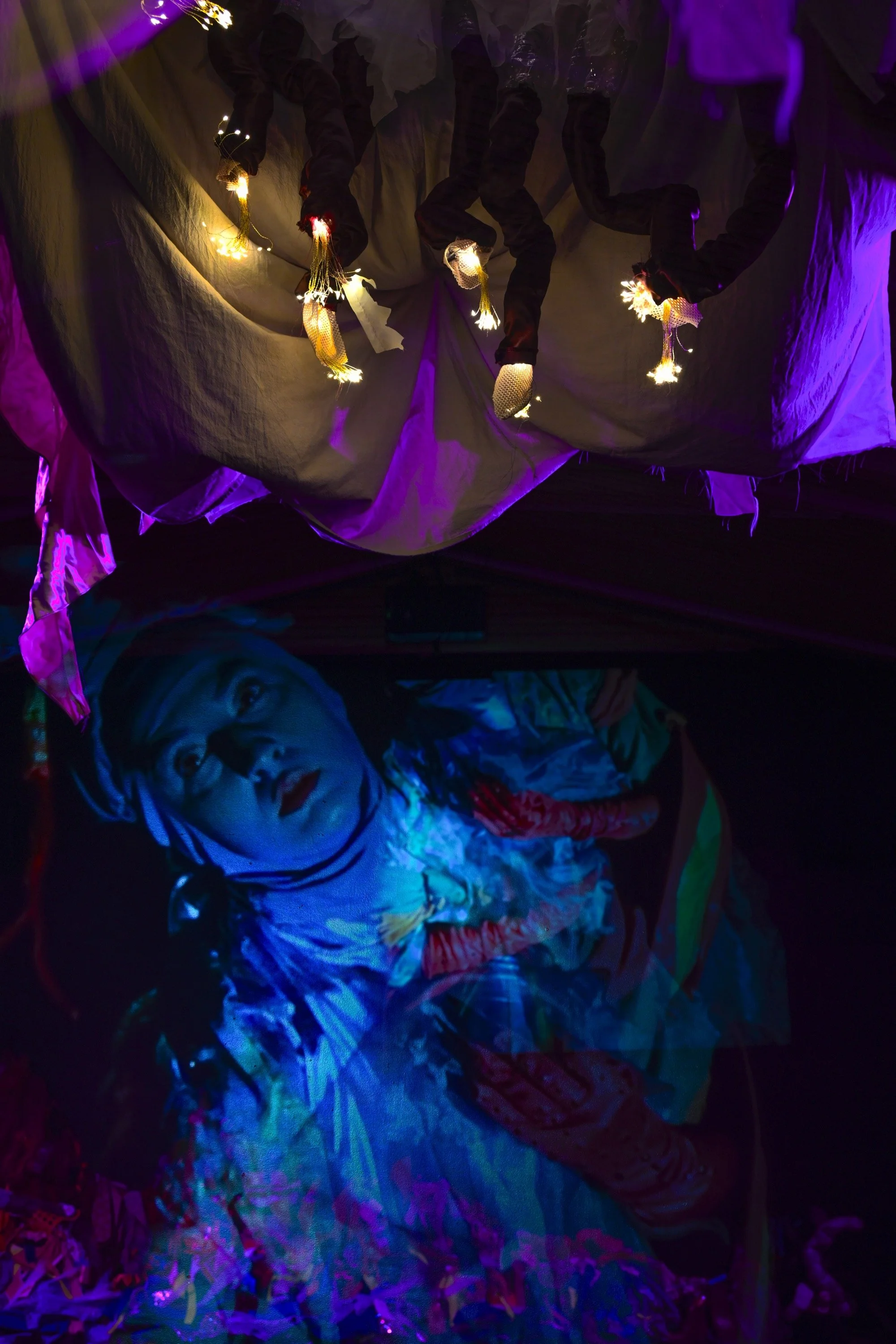 Bachorik_Mantis Shrimp-75 copy.jpg