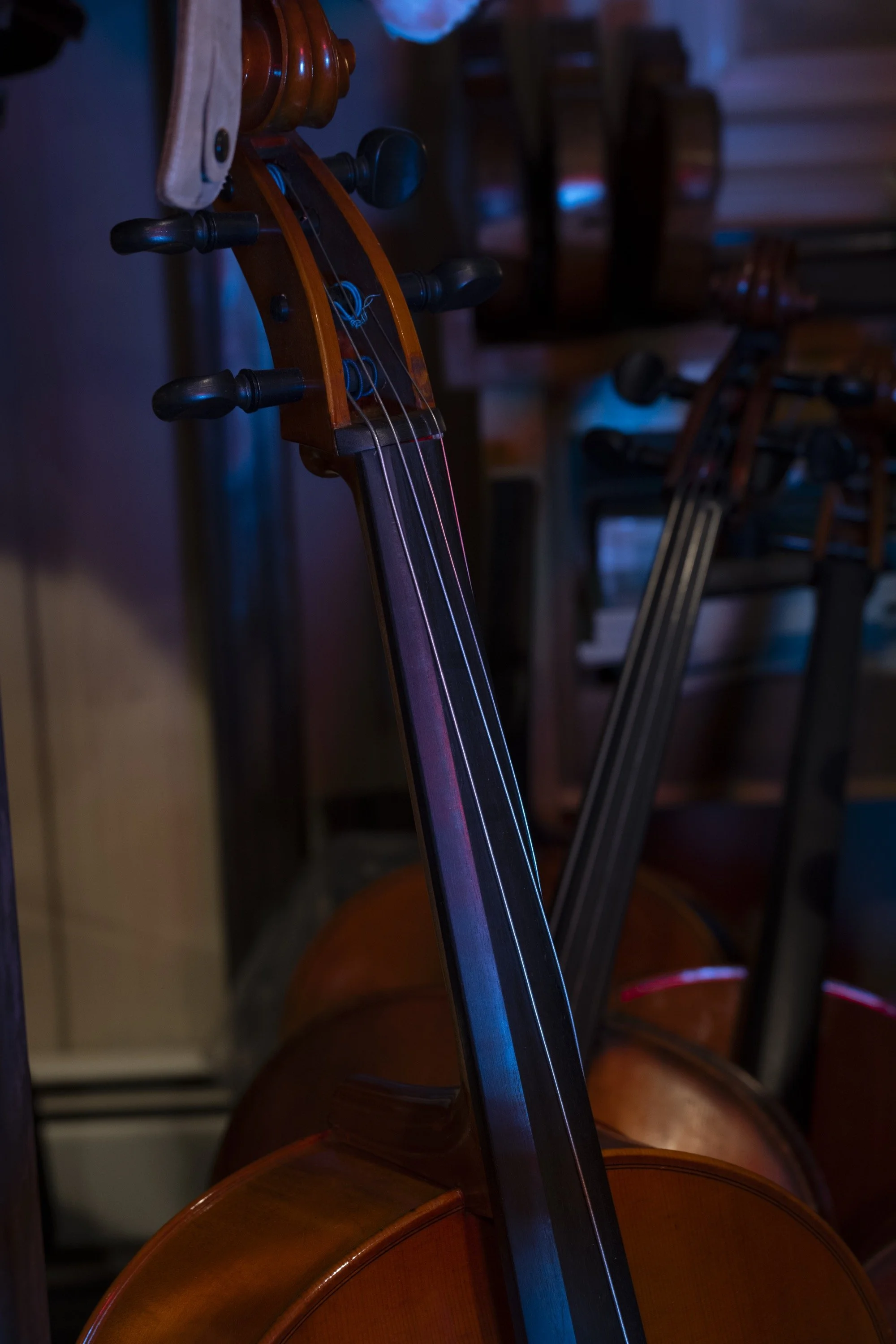 bachorik_Shaker Violin-27.jpg
