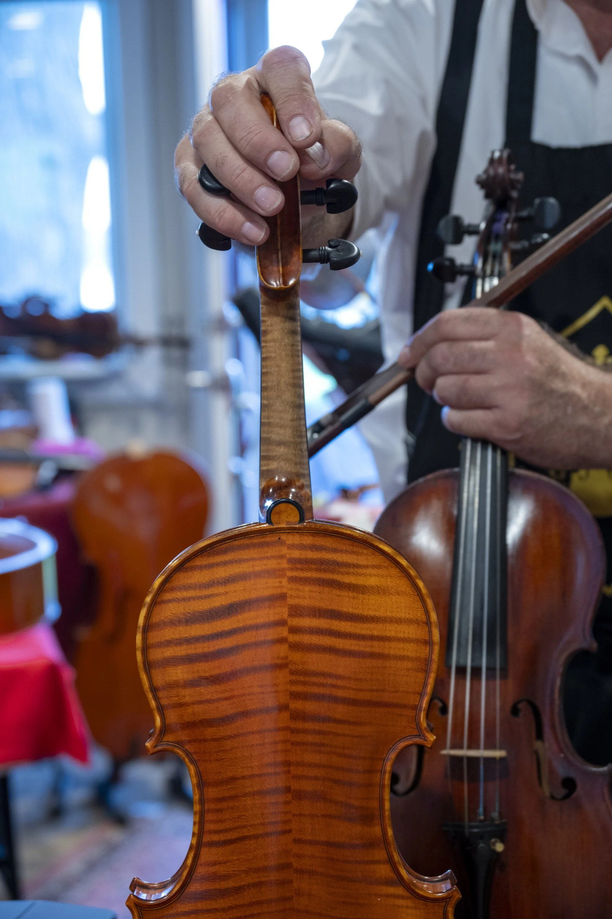 bachorik_Shaker Violin-3.jpg