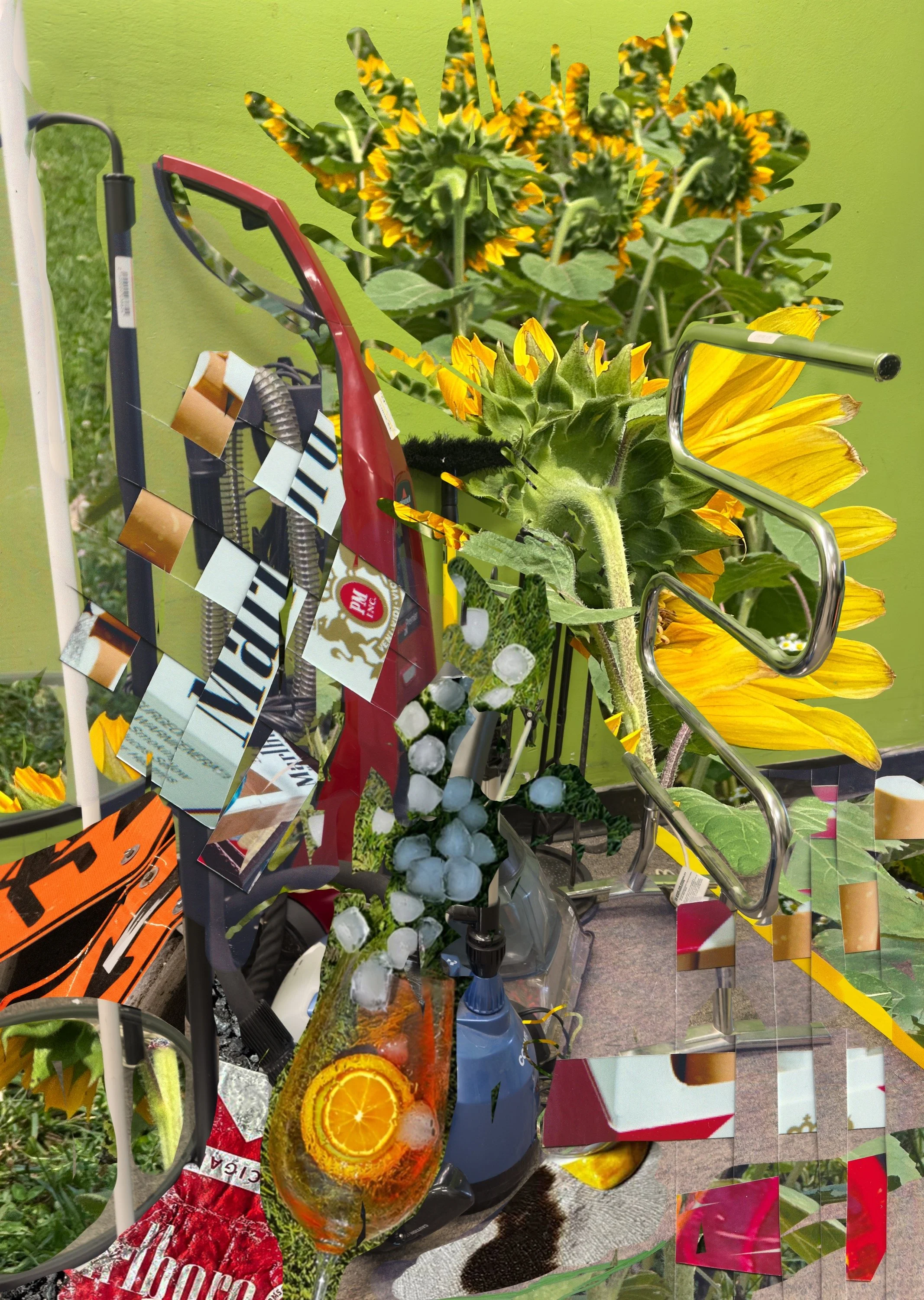 summertime saddness (1) copy.JPG