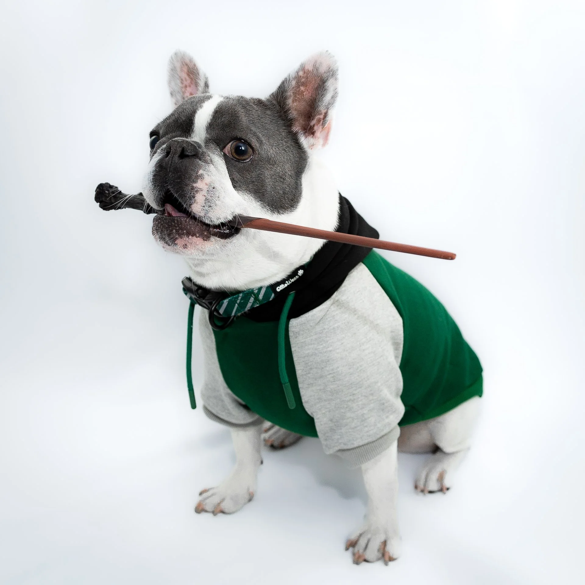 Wags & Wands - Mystic Moss