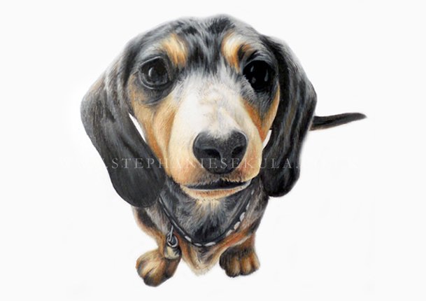 Bea's Portrait