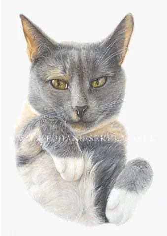 Dolly's Portrait
