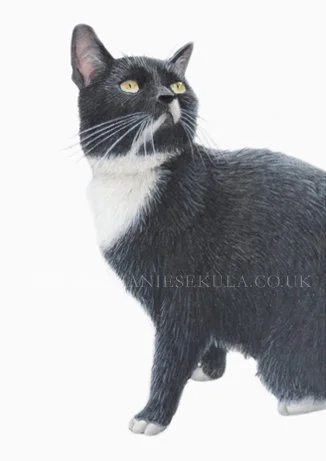Prince's Portrait