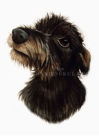 Iga's Portrait