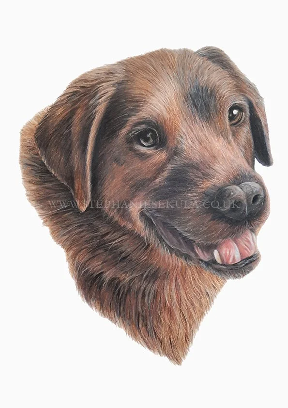 Millie's Portrait