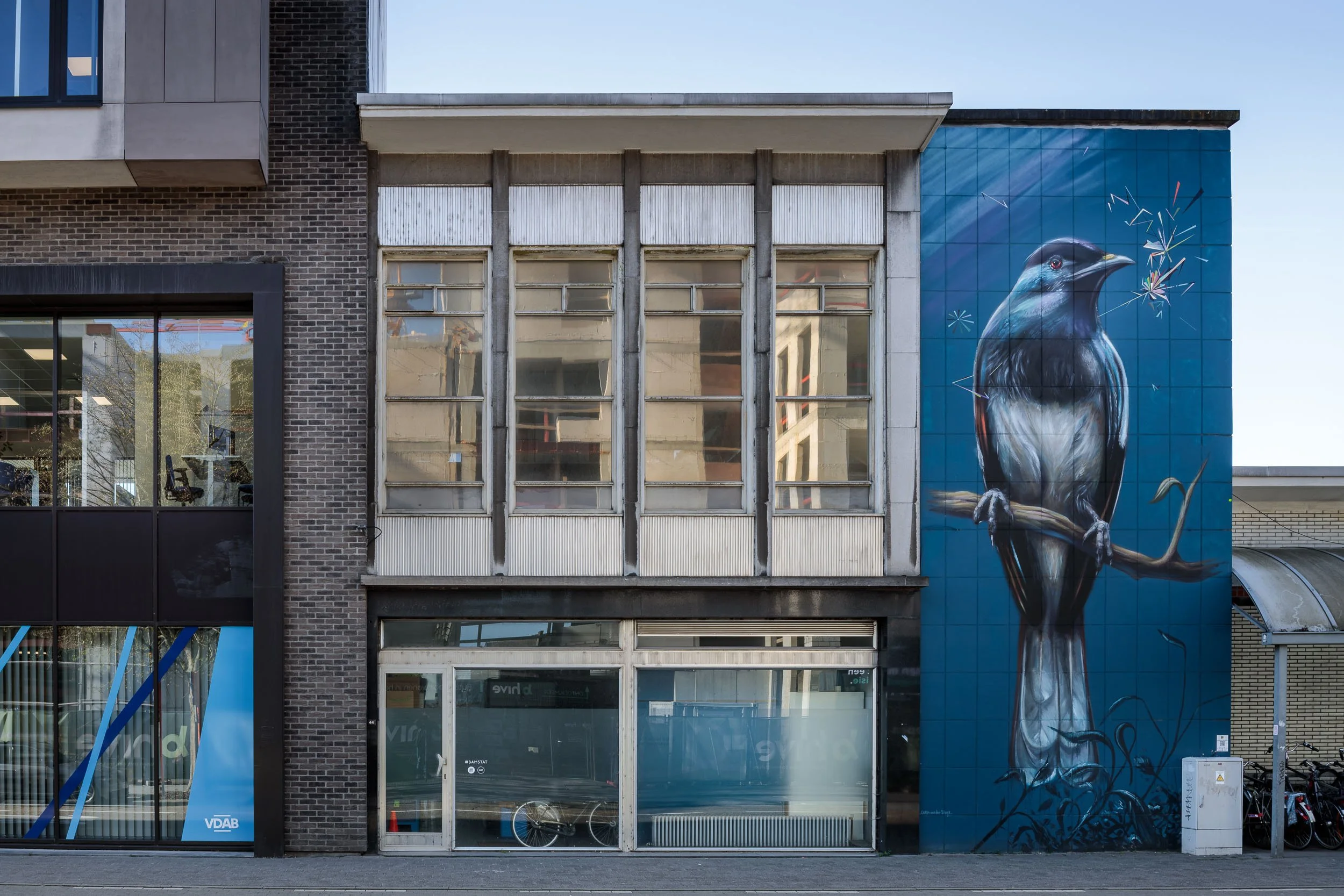 gevel met vogel.jpg