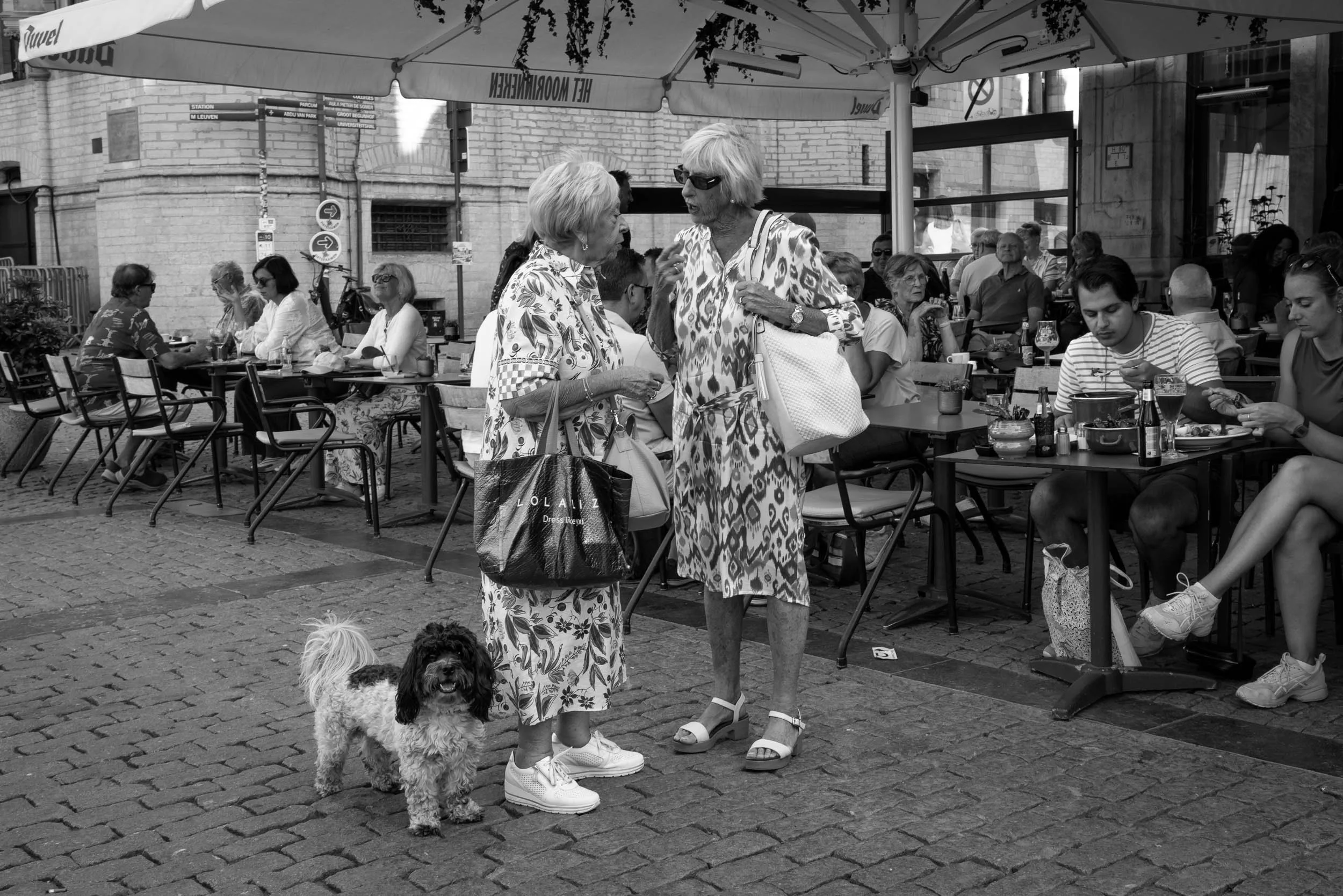 Straatfotografie-leuven-2damesmethond-1.jpg