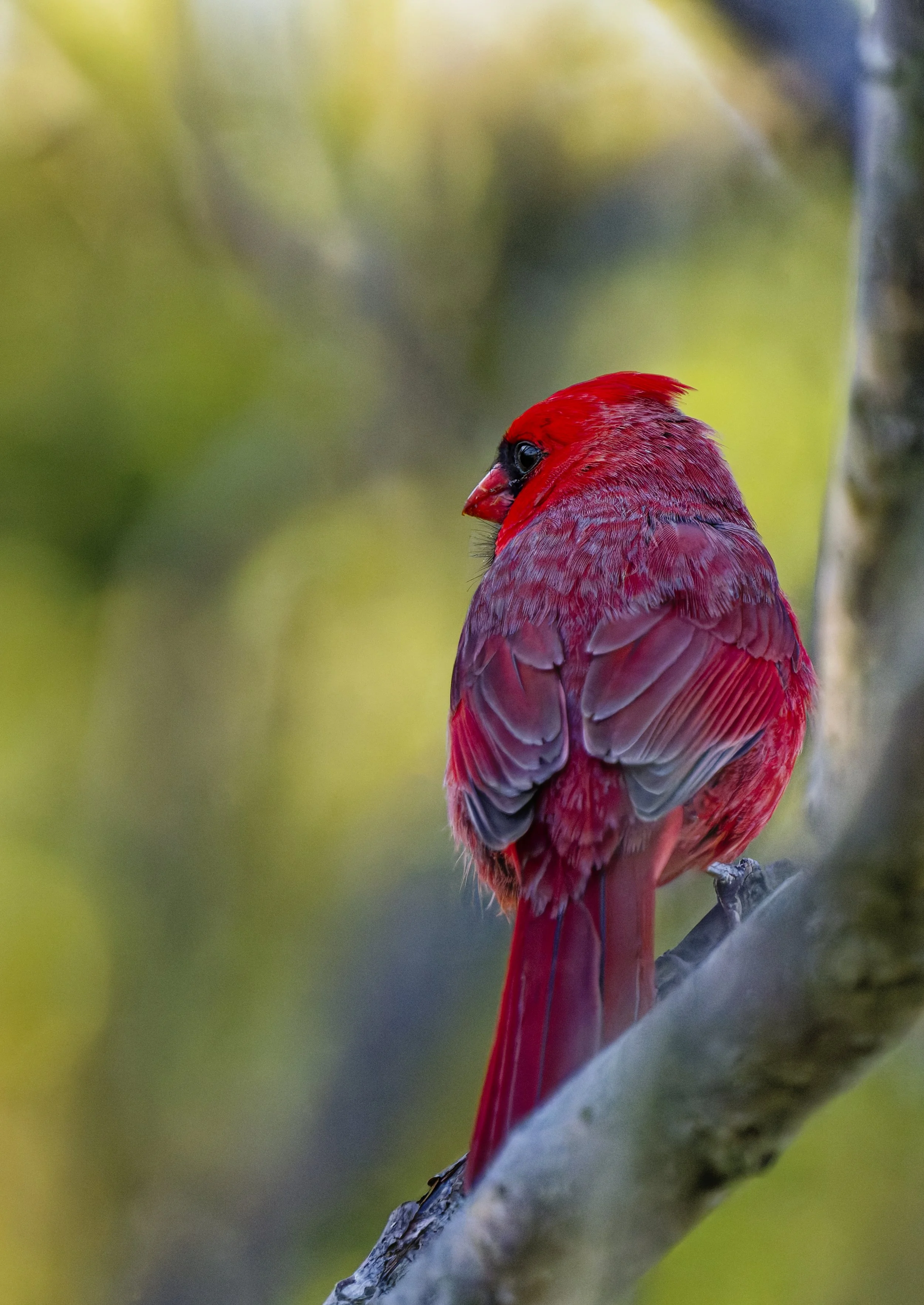 _DSC1182_DxO.jpg
