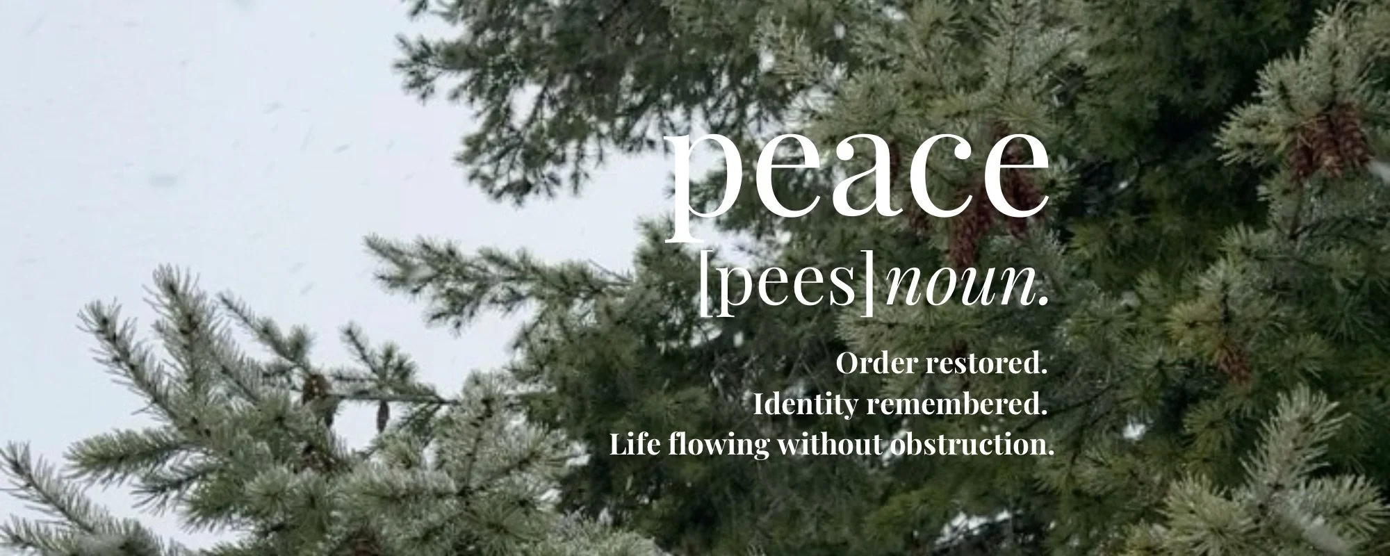 Returning to Coherence: A Guide to Integration