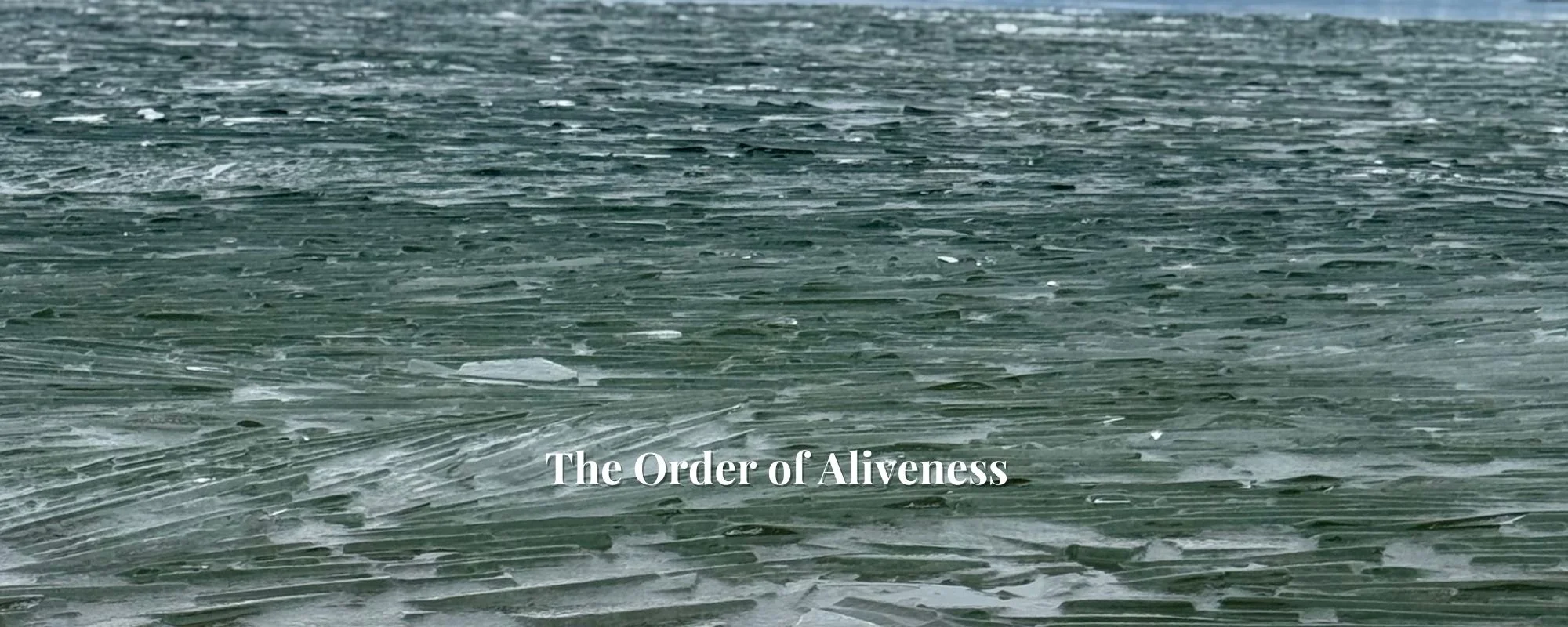 Why Fixing Fails and Integration Restores