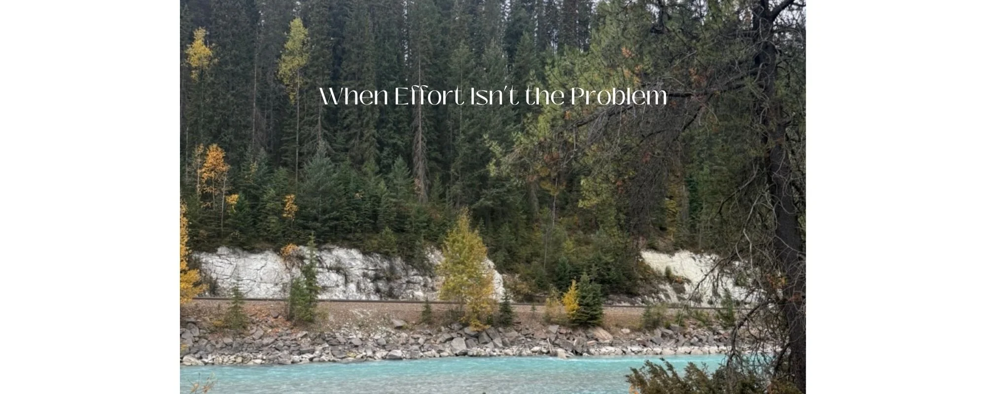 Doing Everything Right — and Still Feeling Off