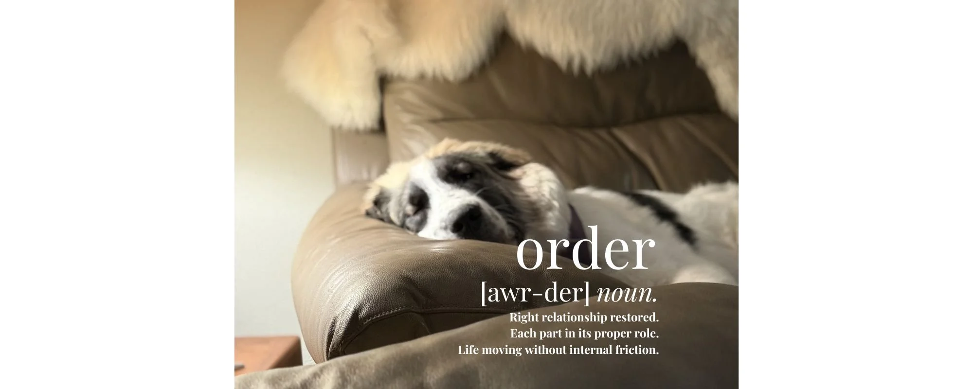 Integration Has an Order