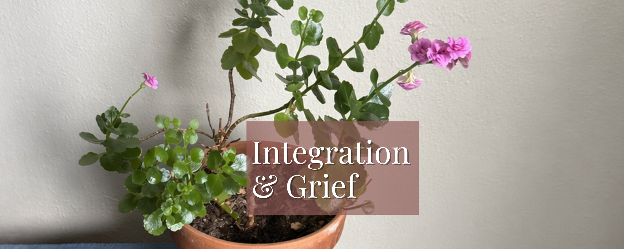 Integration &amp; Grief
