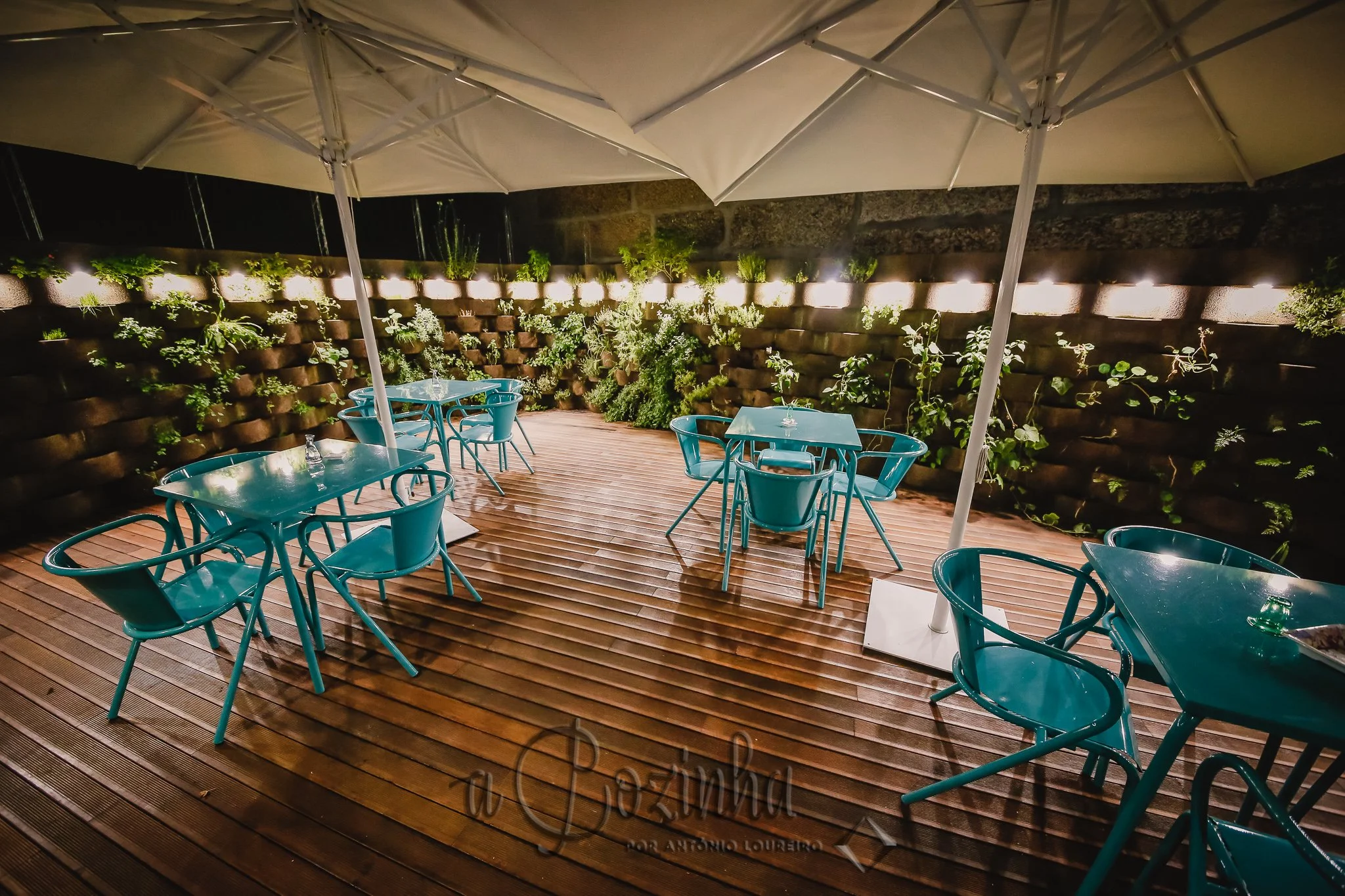 Copy of _MGL6914.jpg