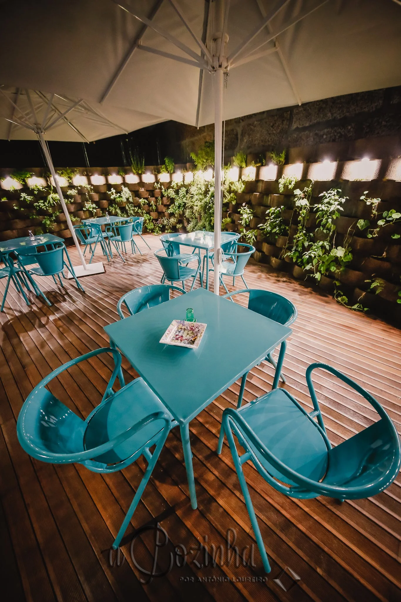 Copy of _MGL6913.jpg