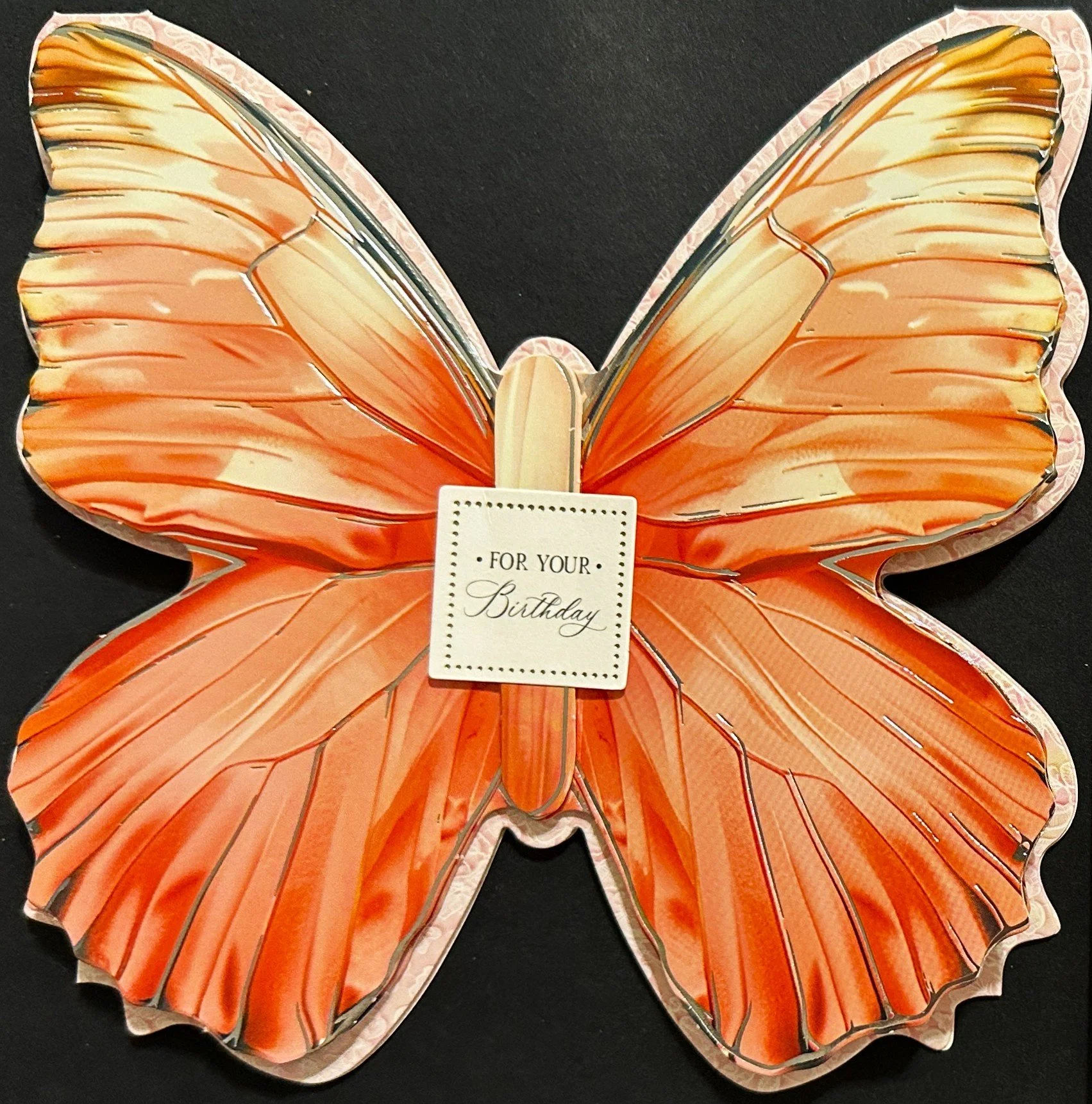 Birthday 2026 1433.jpeg