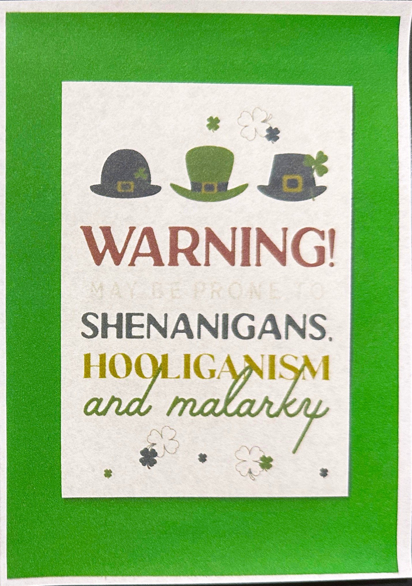 St Patricks 2026   44 p2.jpeg