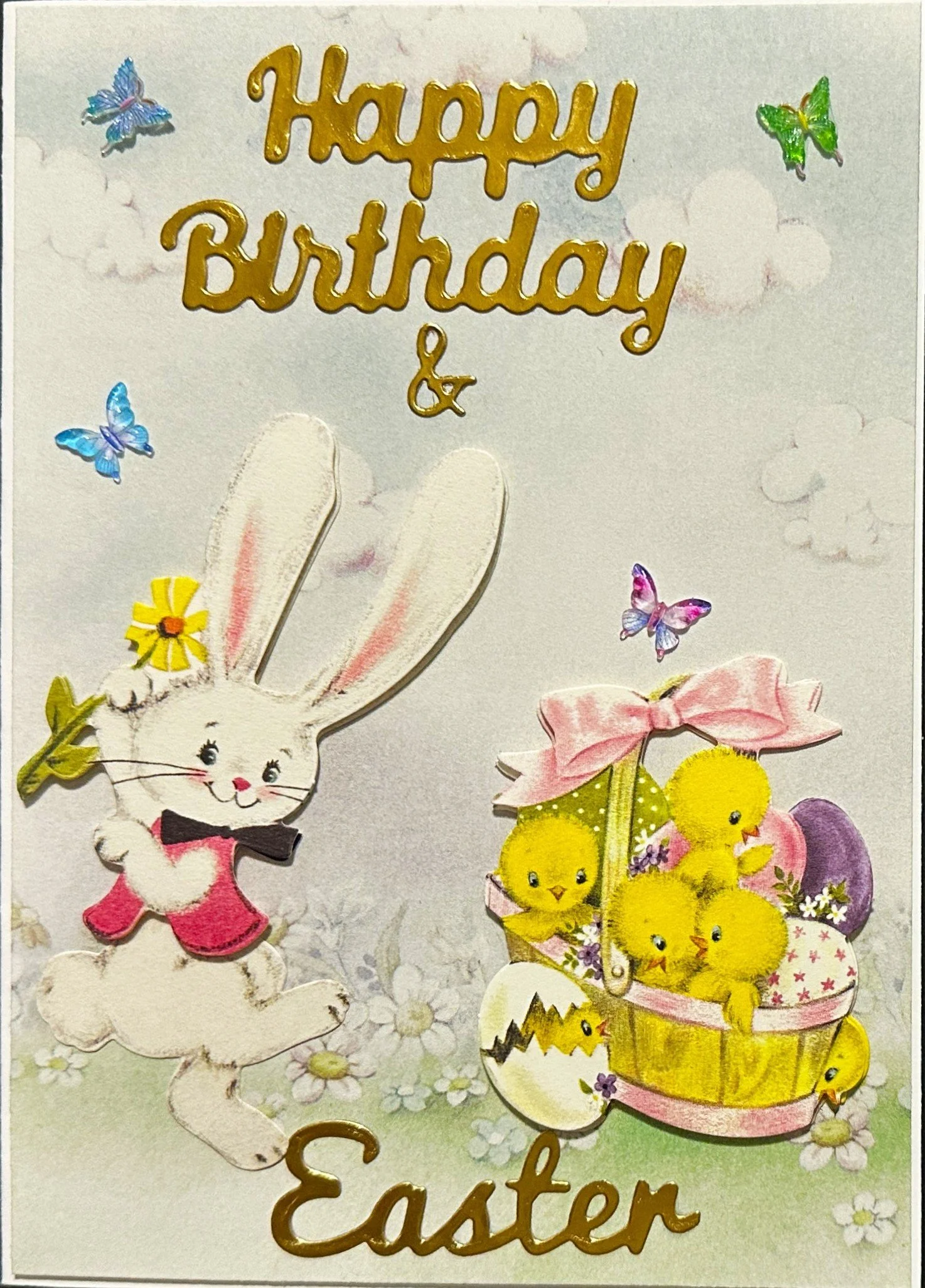 Birthday 2026 1450.jpeg