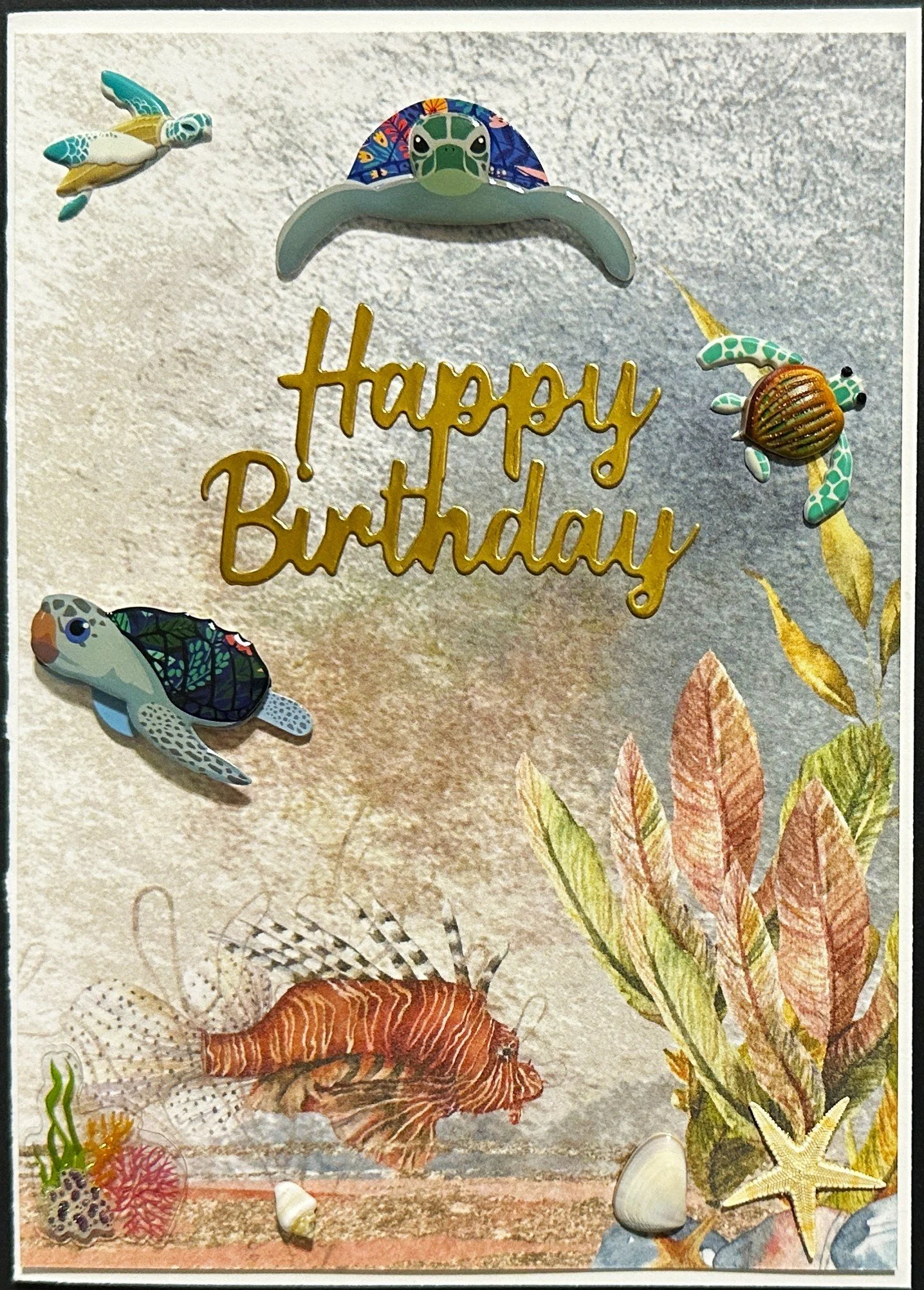 Birthday 2026 1466.jpeg