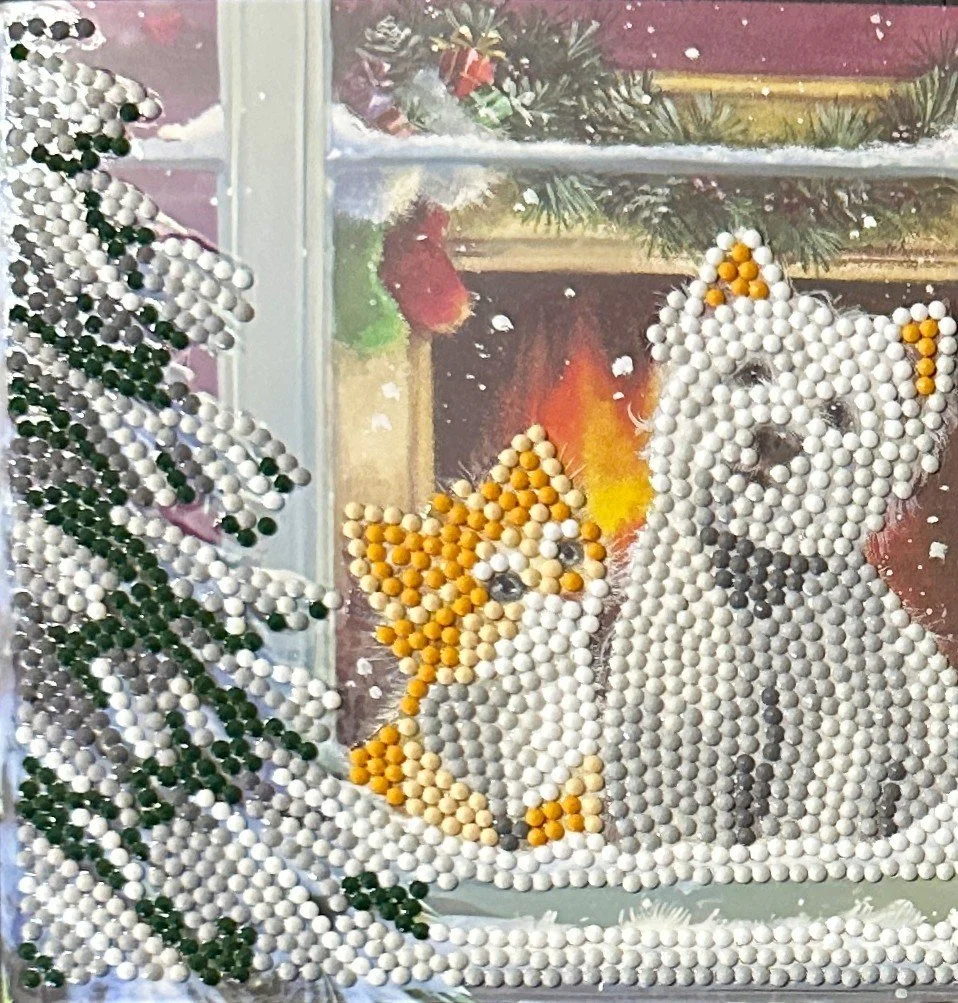 Christmas 2026 1265.jpg