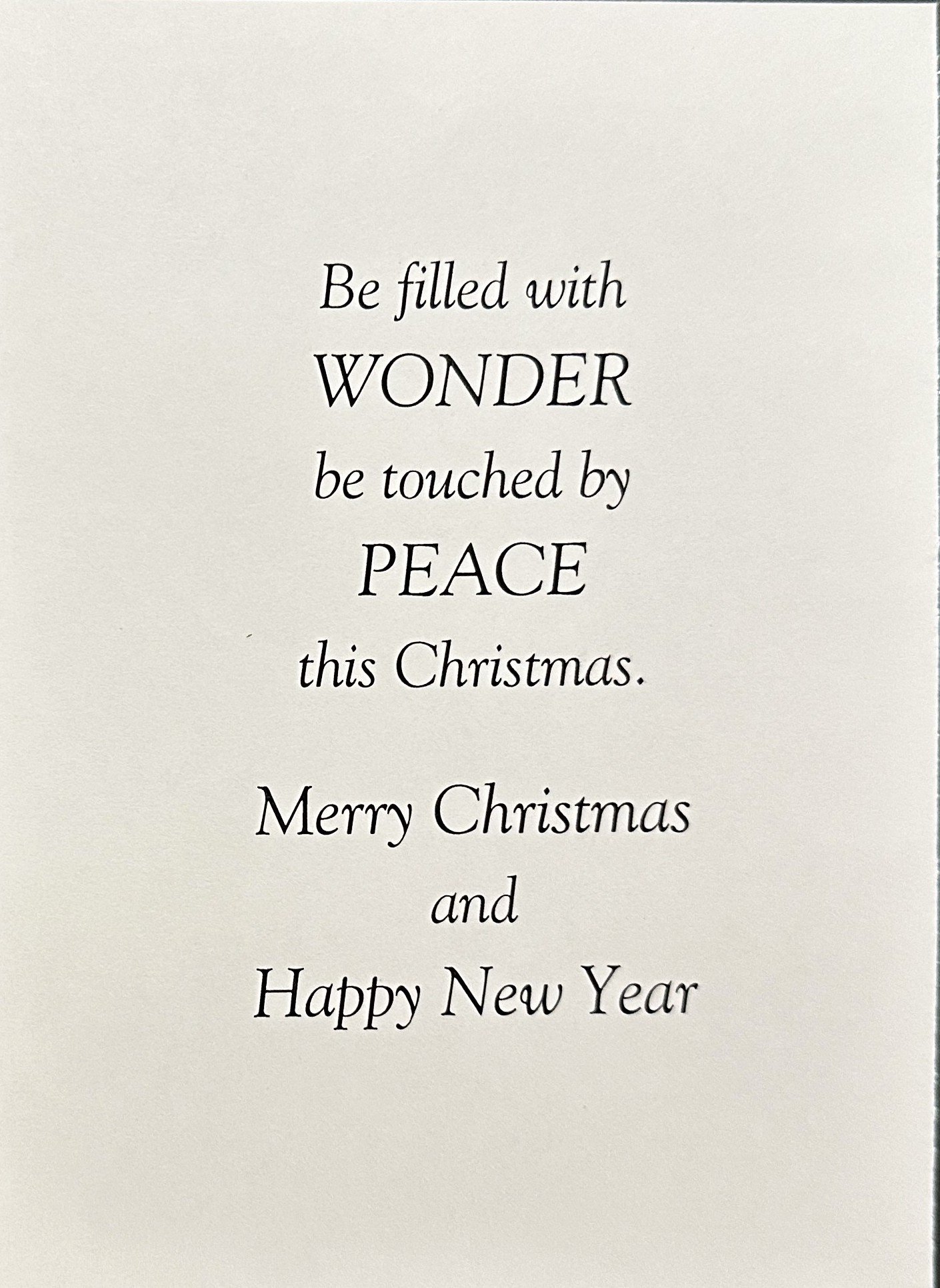 Christmas 2025 1204 p2.jpeg