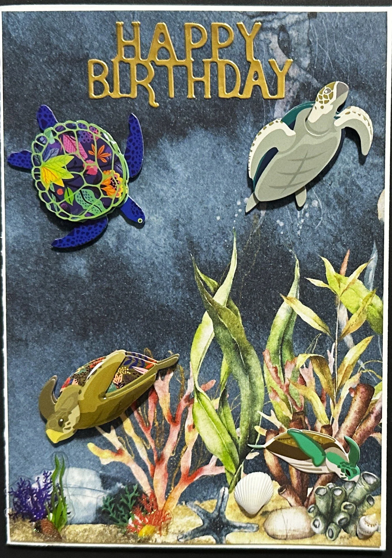 Birthday 2026 1482.jpeg