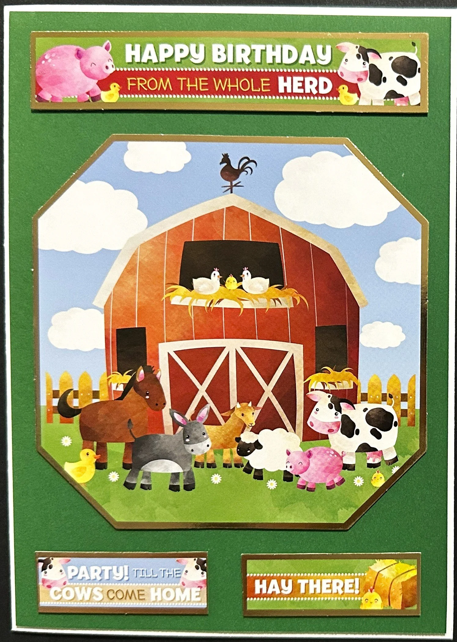 Birthday 2026 1475.jpeg