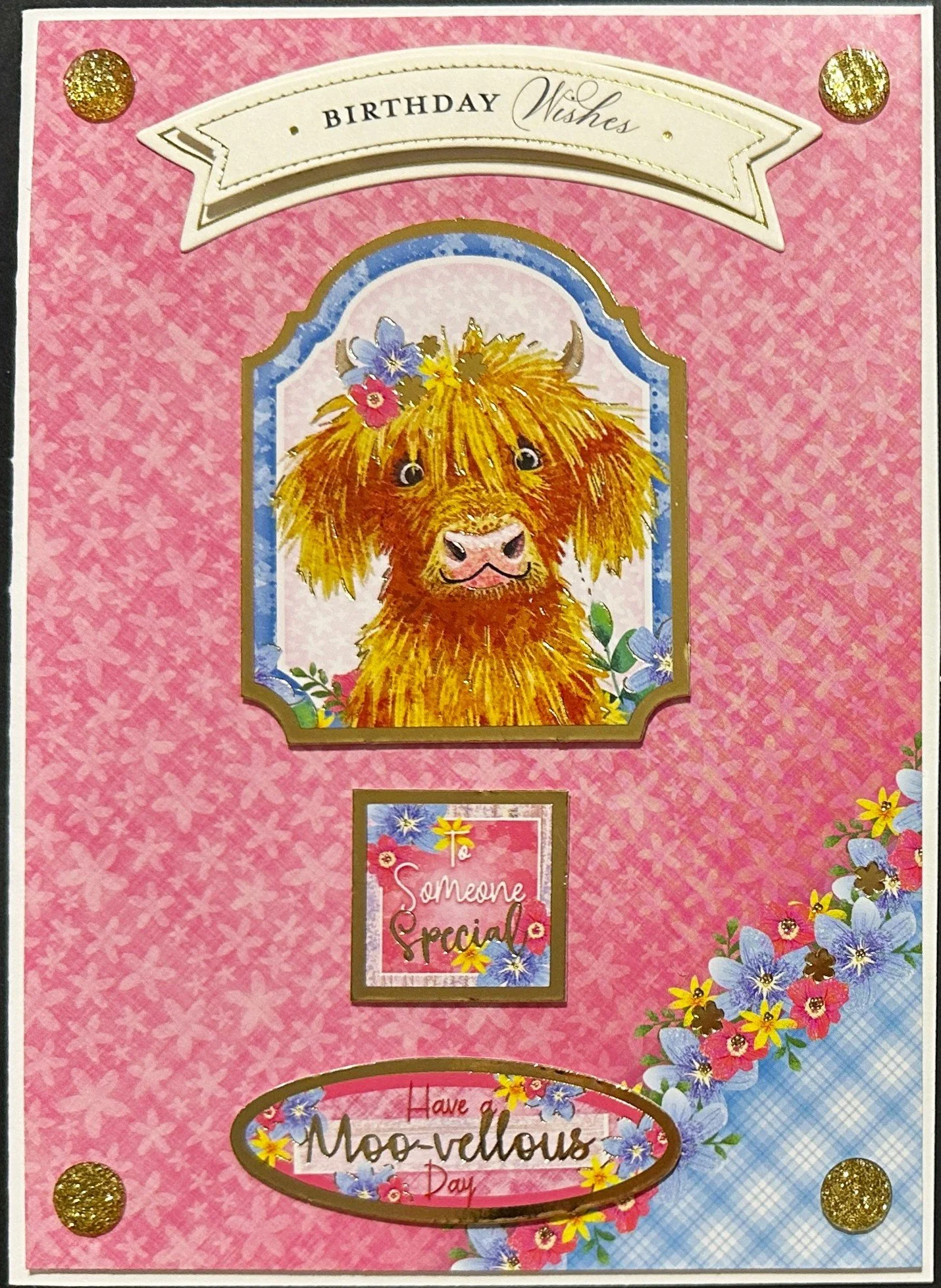 Birthday 2026 1461.jpeg