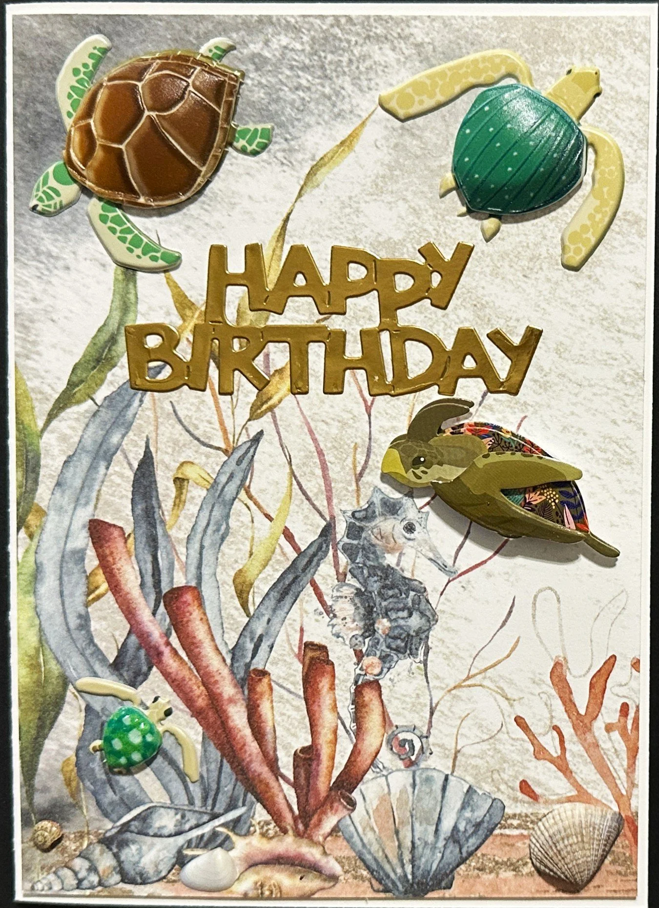 Birthday 2026 1488.jpeg