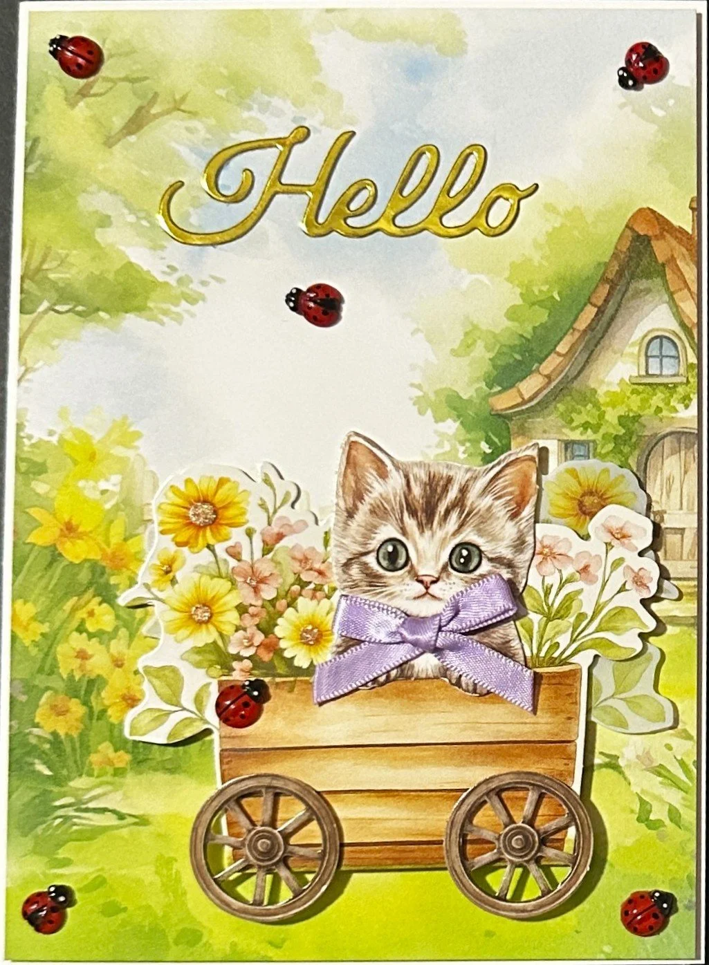 Hello 2026 112.jpeg