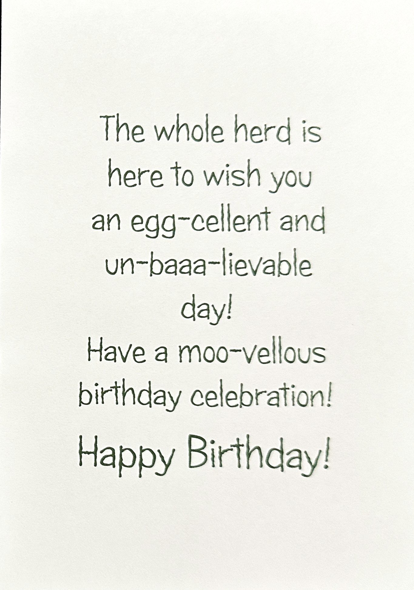 Birthday 2026 1475 p2.jpeg