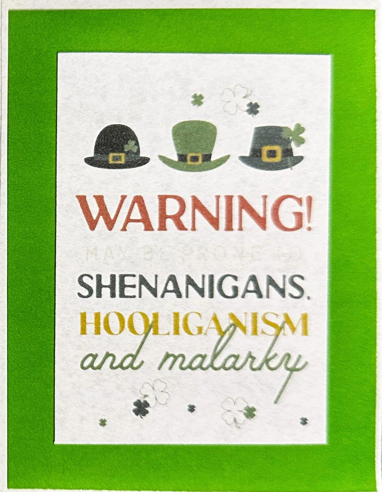 St Patricks 2026   43 p3.jpeg