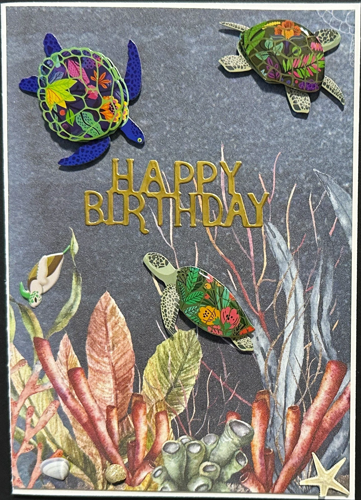 Birthday 2026 1493.jpeg