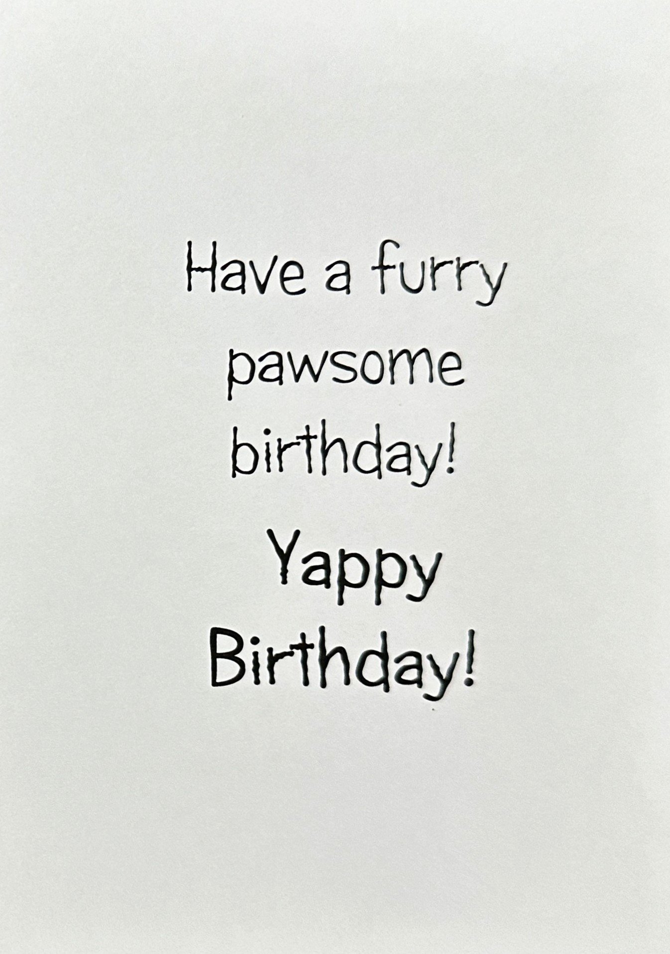 Birthday 2026 1355 p2.jpeg