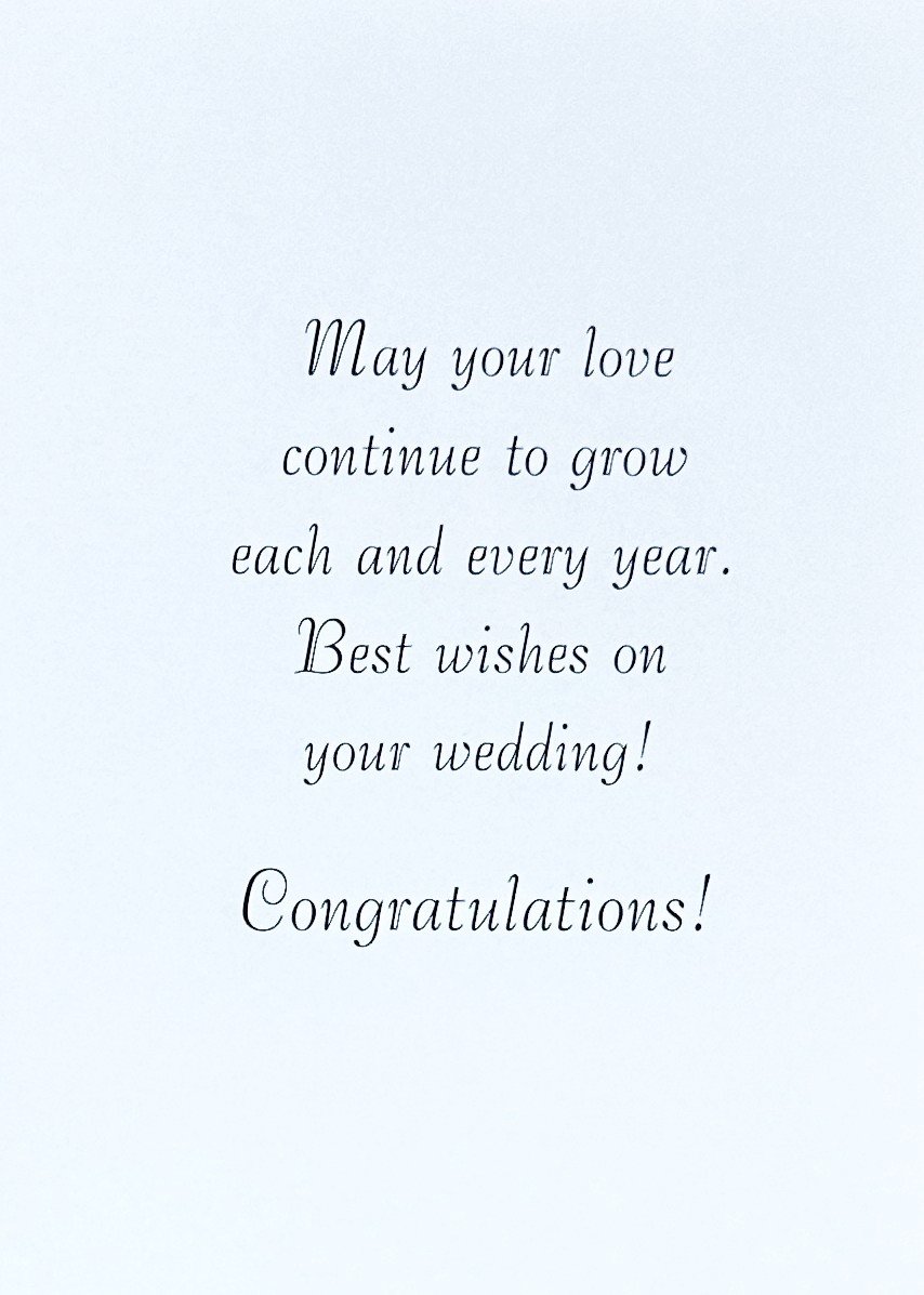 Wedding 2026  230 p2.jpeg