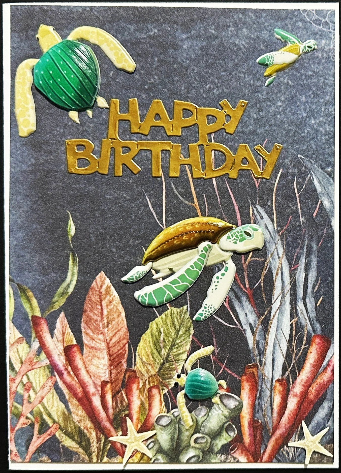 Birthday 2026 1478.jpeg