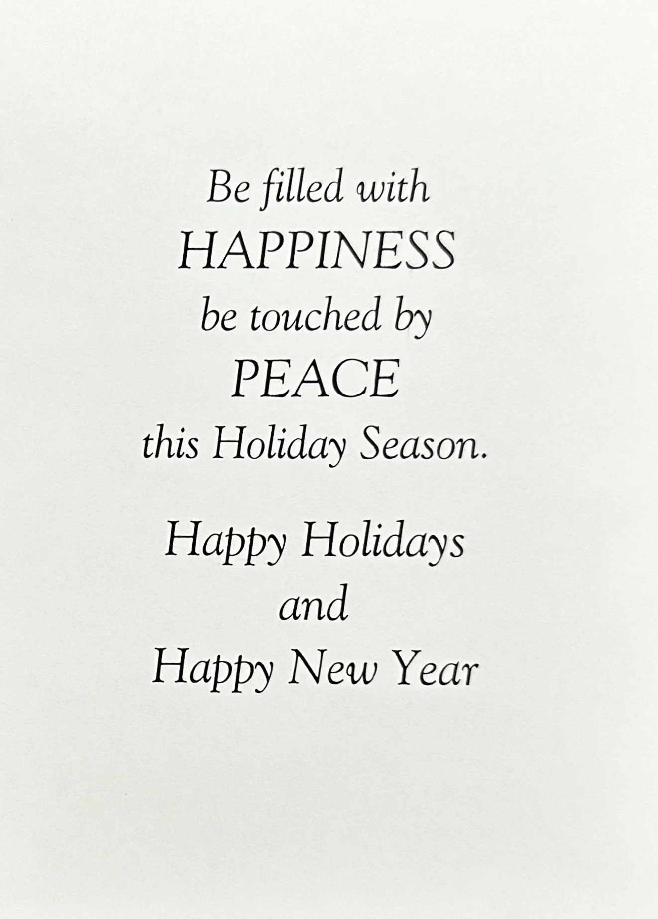 Christmas 2025 1139 p2.jpeg