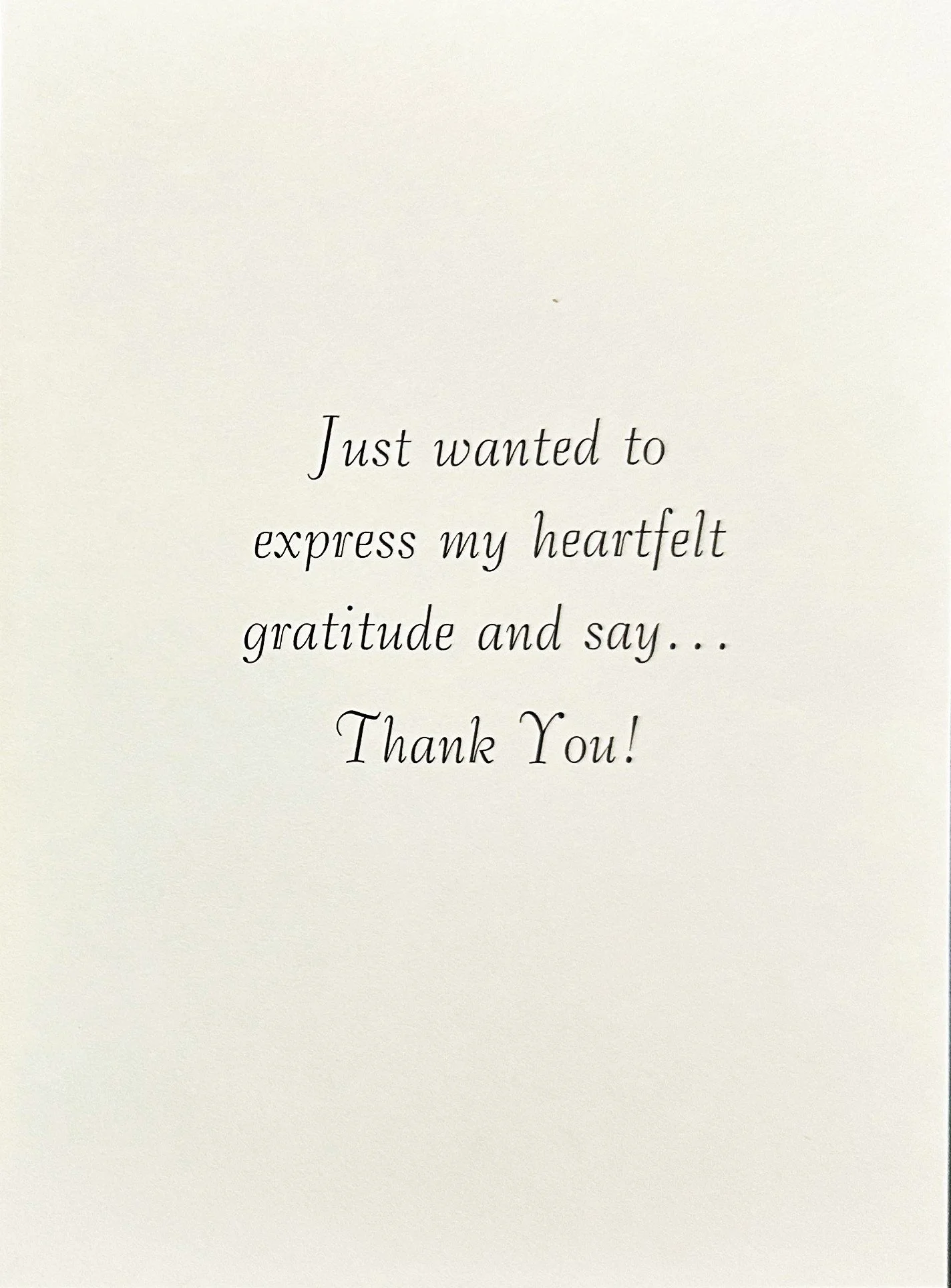 Thank You 2026  247 p2.jpeg