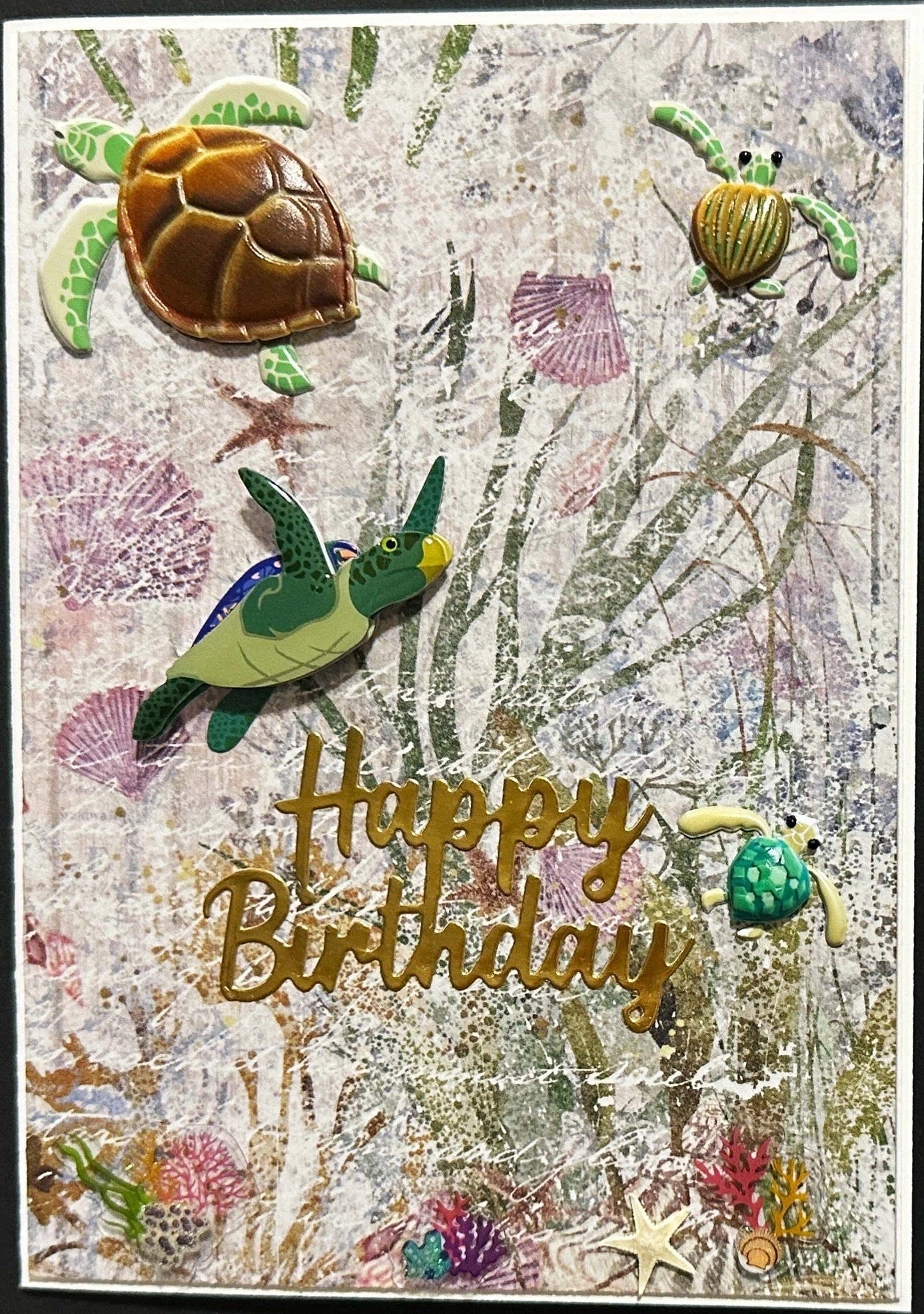 Birthday 2026 1471.jpeg