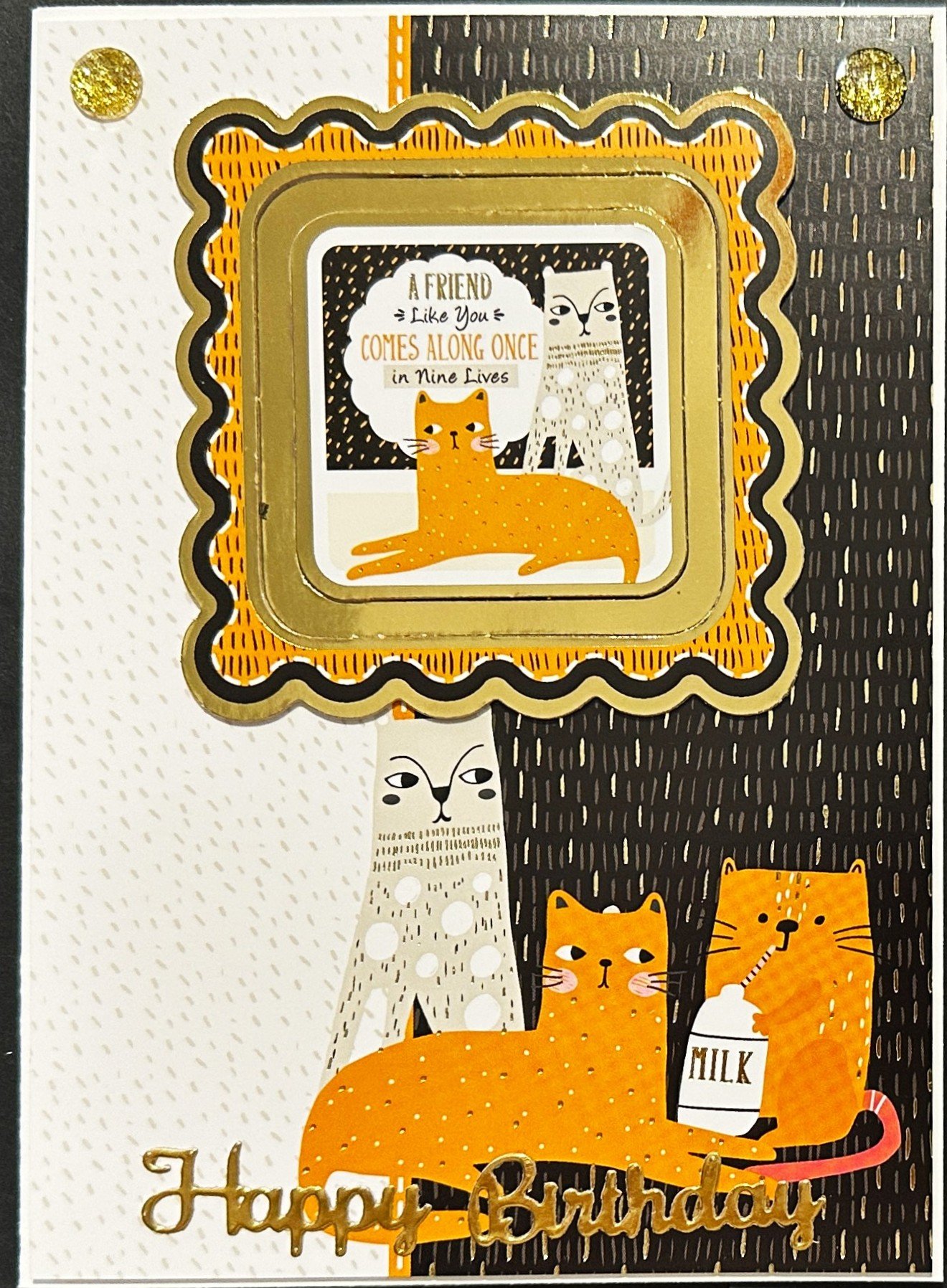 A Friend Like You Comes Along Once in Nine Lives