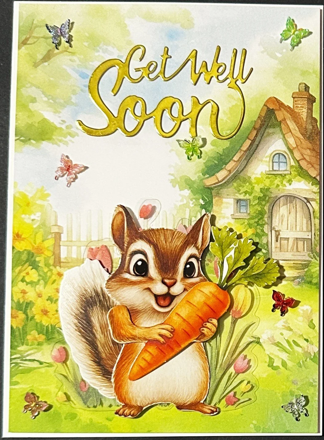 Get Well 2026  208.jpeg