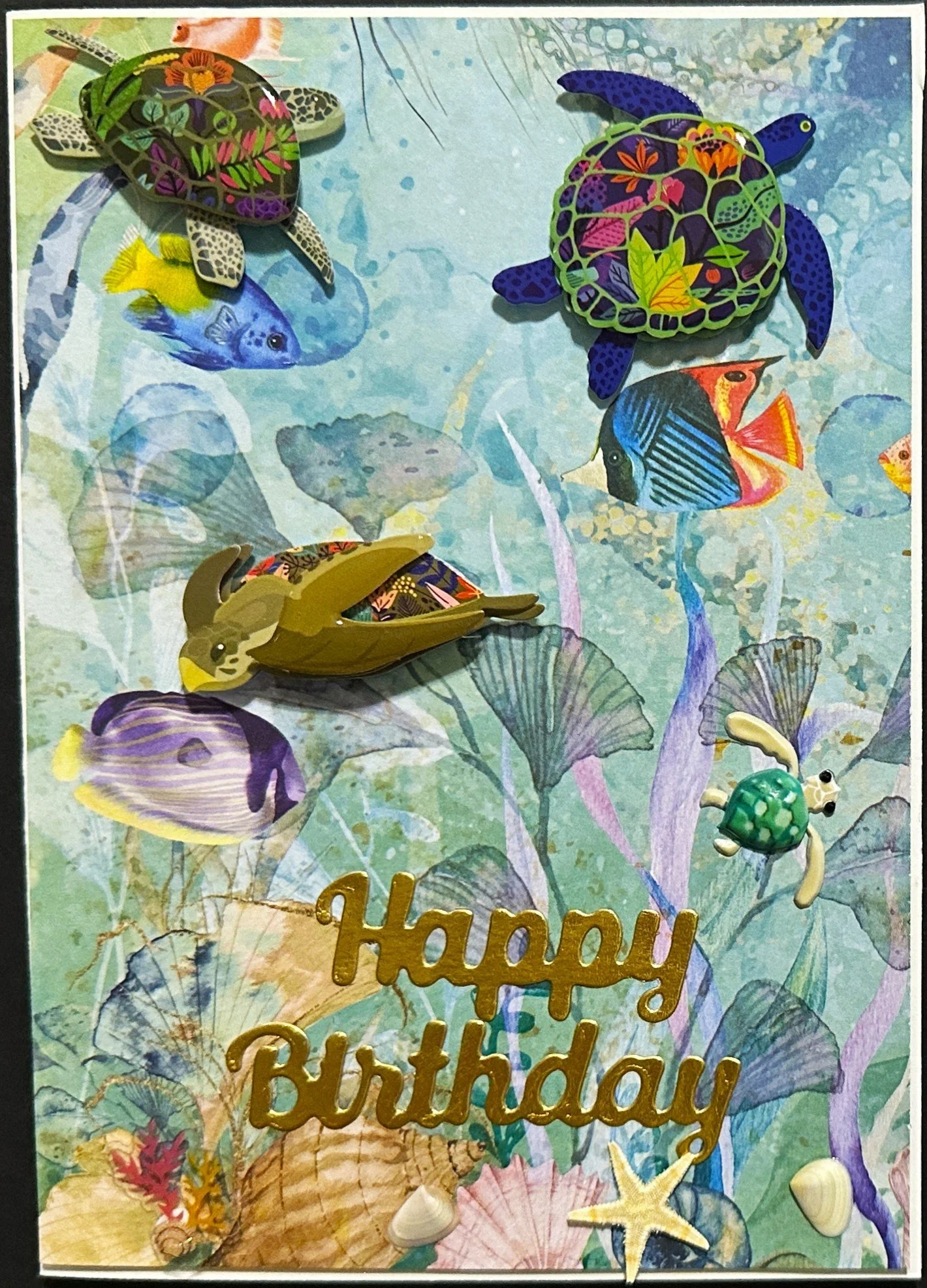 Birthday 2026 1476.jpeg