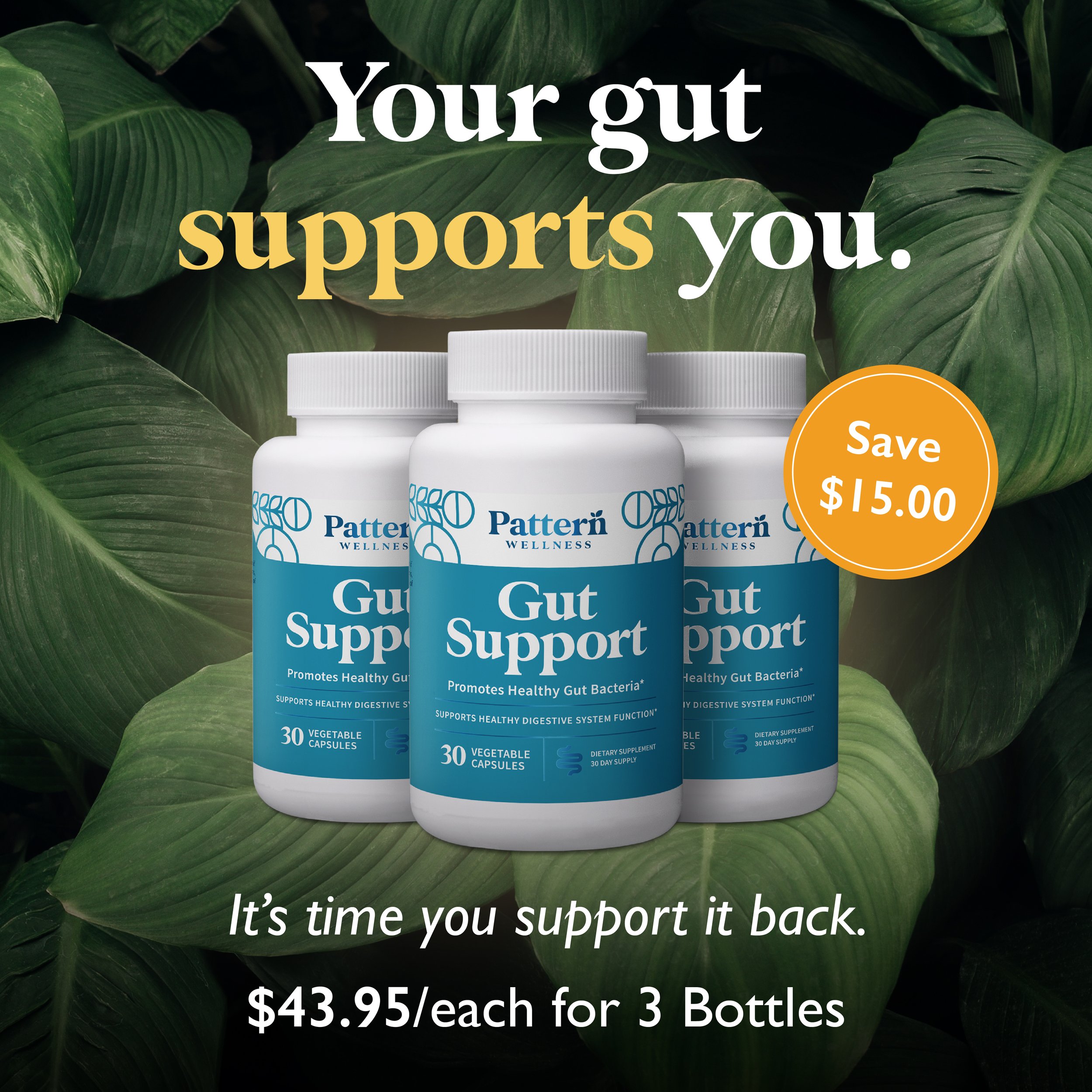Pod6 - JUNE - GutSupport_v5.jpg