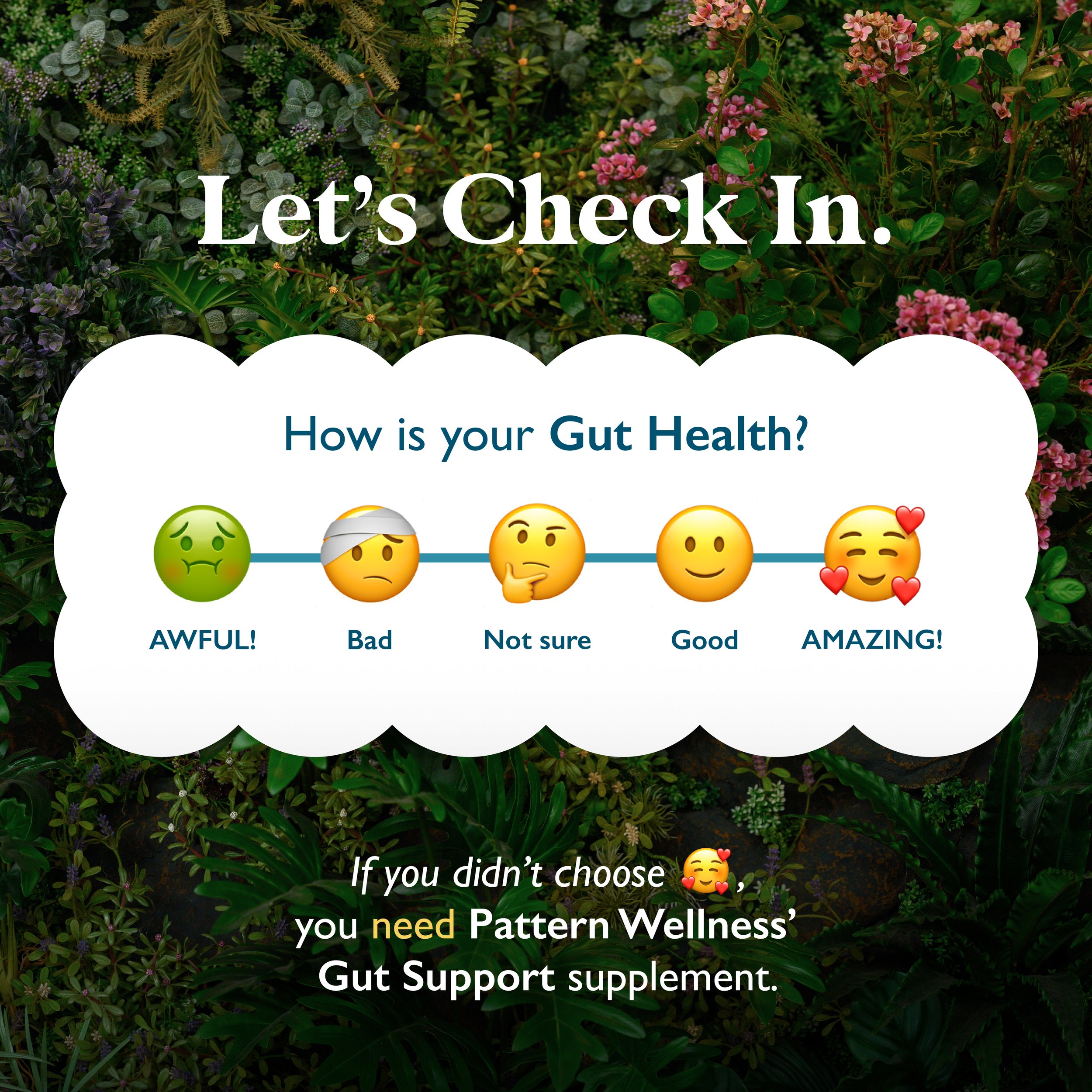 Pod6 - JUNE - GutSupport_v3.jpg
