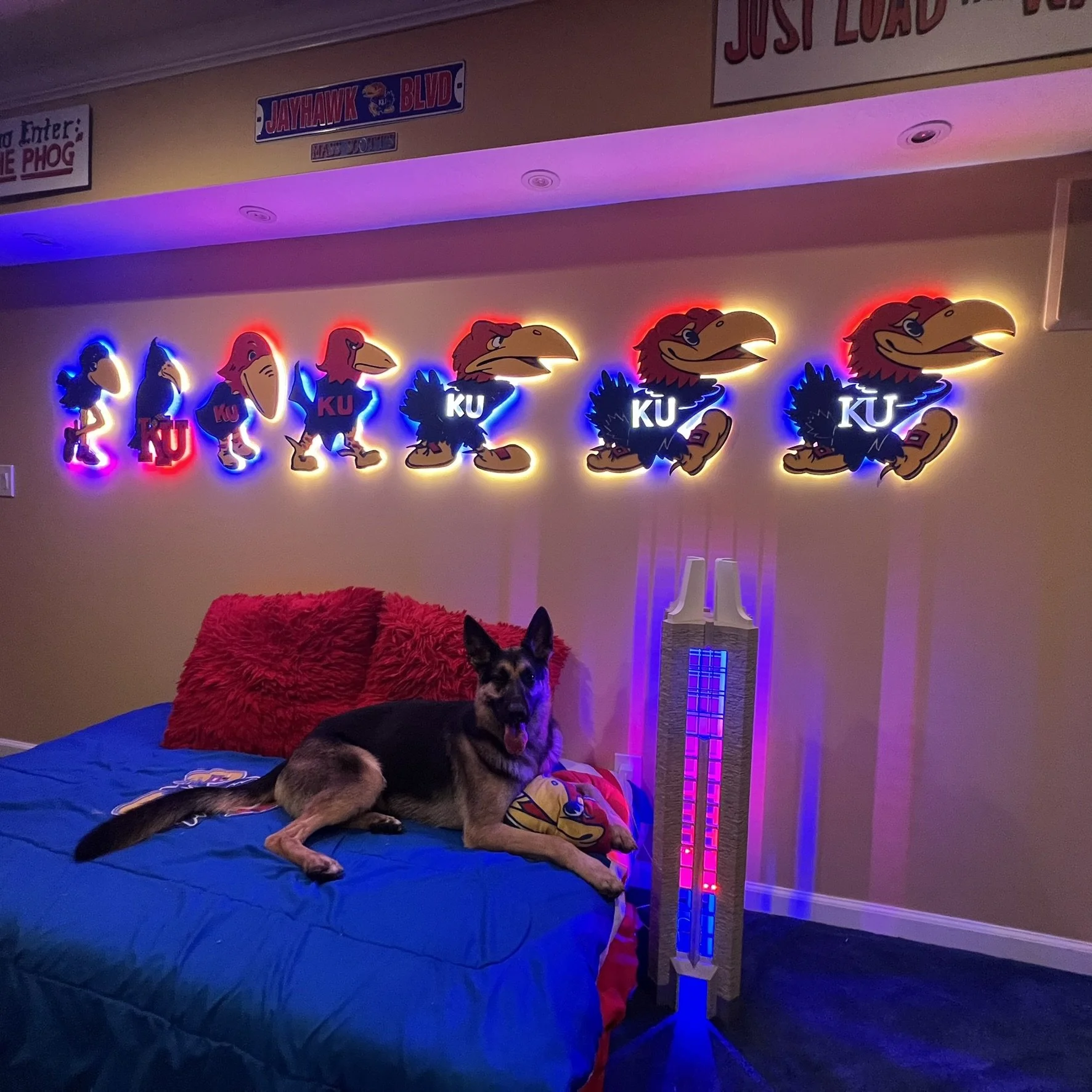 "Creative, reliable, and genuinely passionate about what they do"
Cole. L