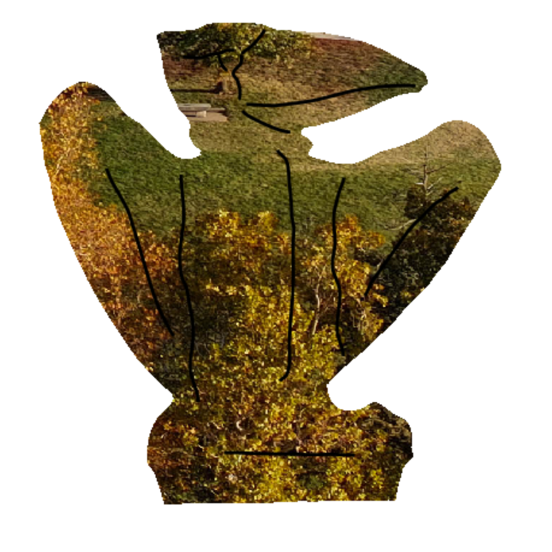 4F.png